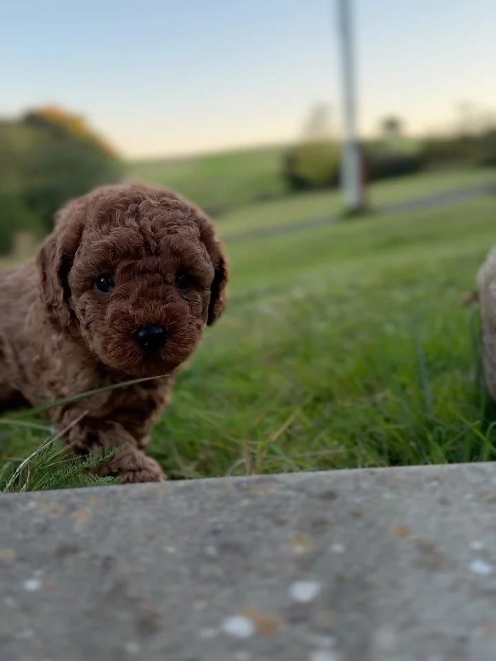 De her sm&aring; 🧸
S&aring; nysgerrige og klar p&aring; at opleve noget nyt 🥰