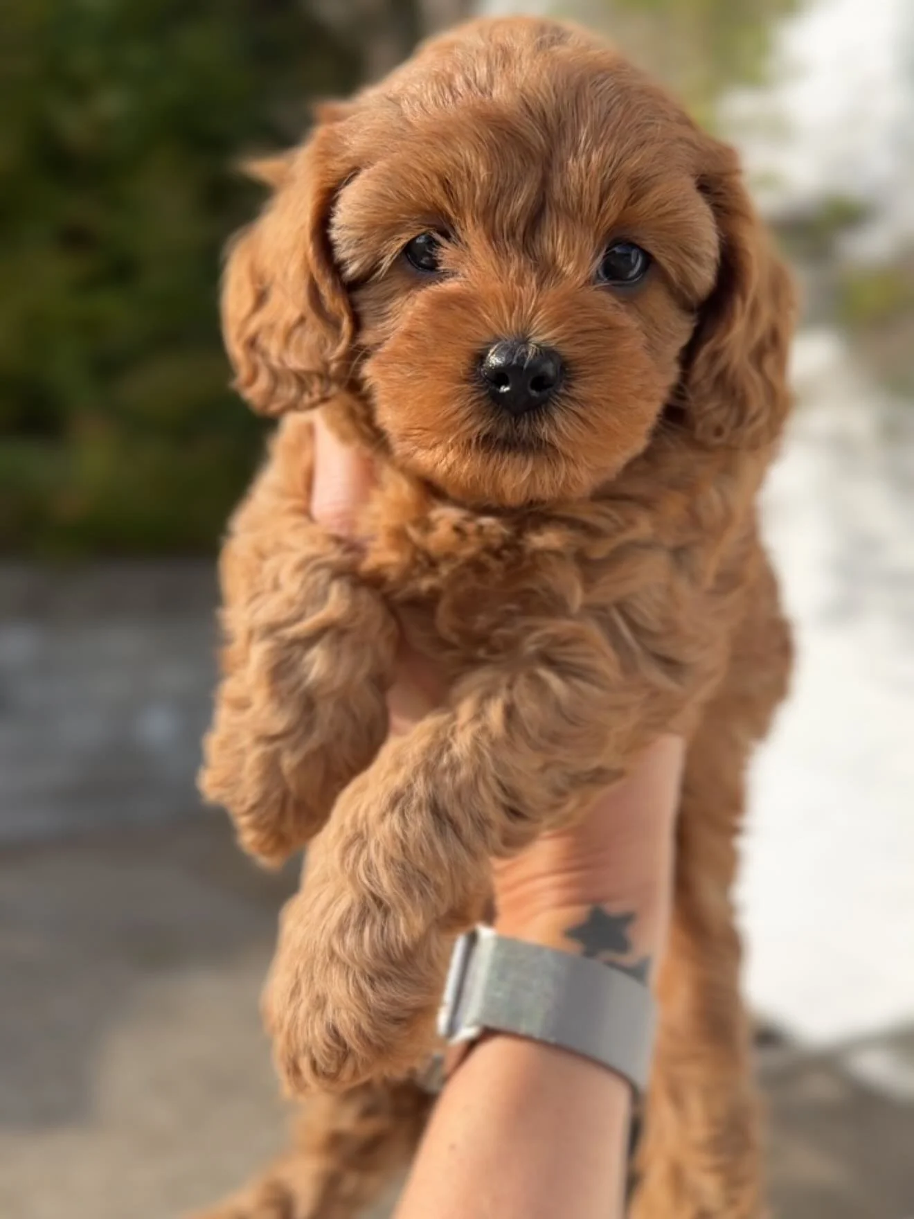 Elsker s&aring; stor forskel der kan v&aelig;re i s&aring;dan et kuld - s&oslash;de som bare pokker alle seks 🎀🧸

&hearts;️🧡💜💛💙💚