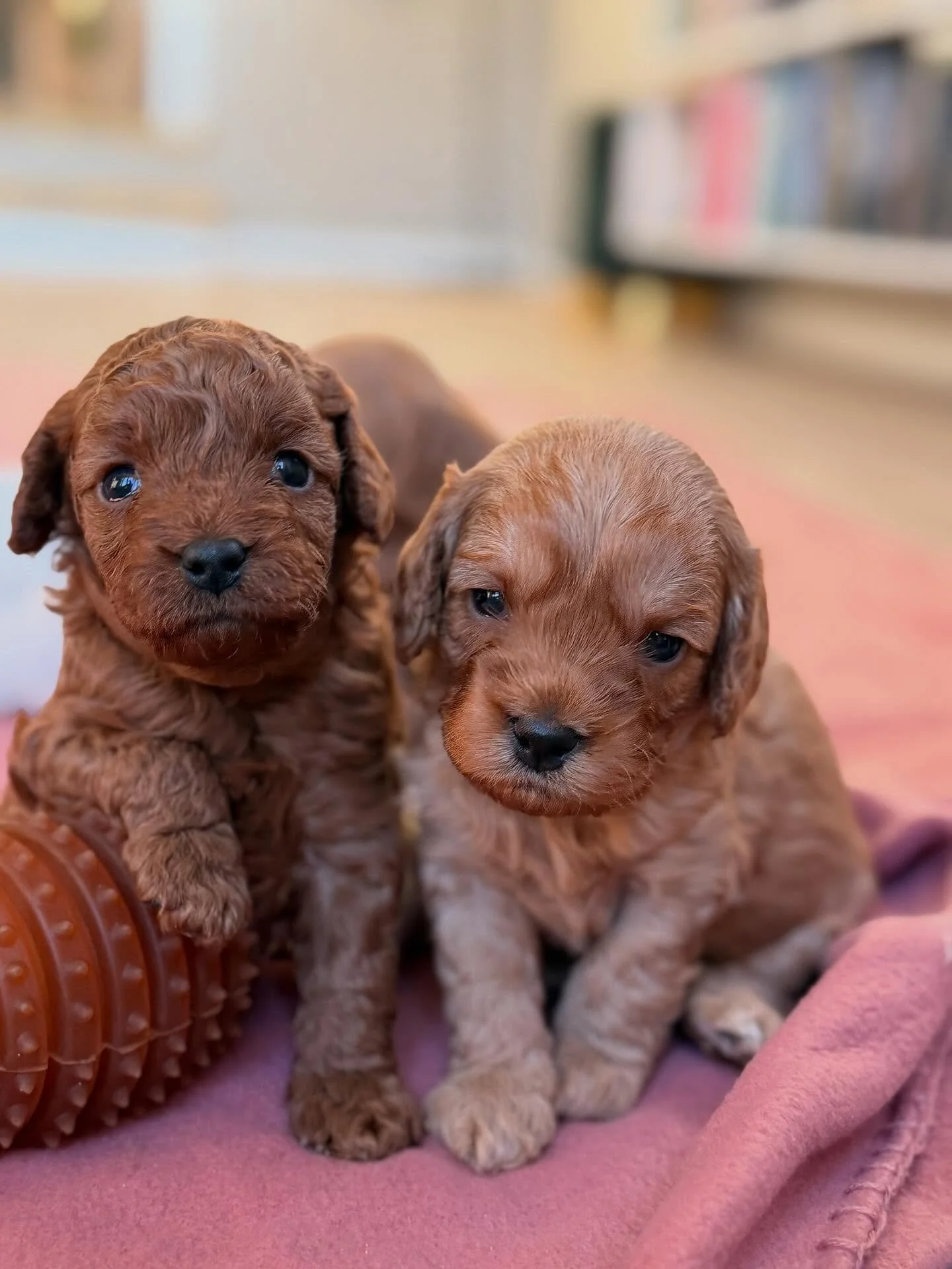 You to me are everything 🤍🤎