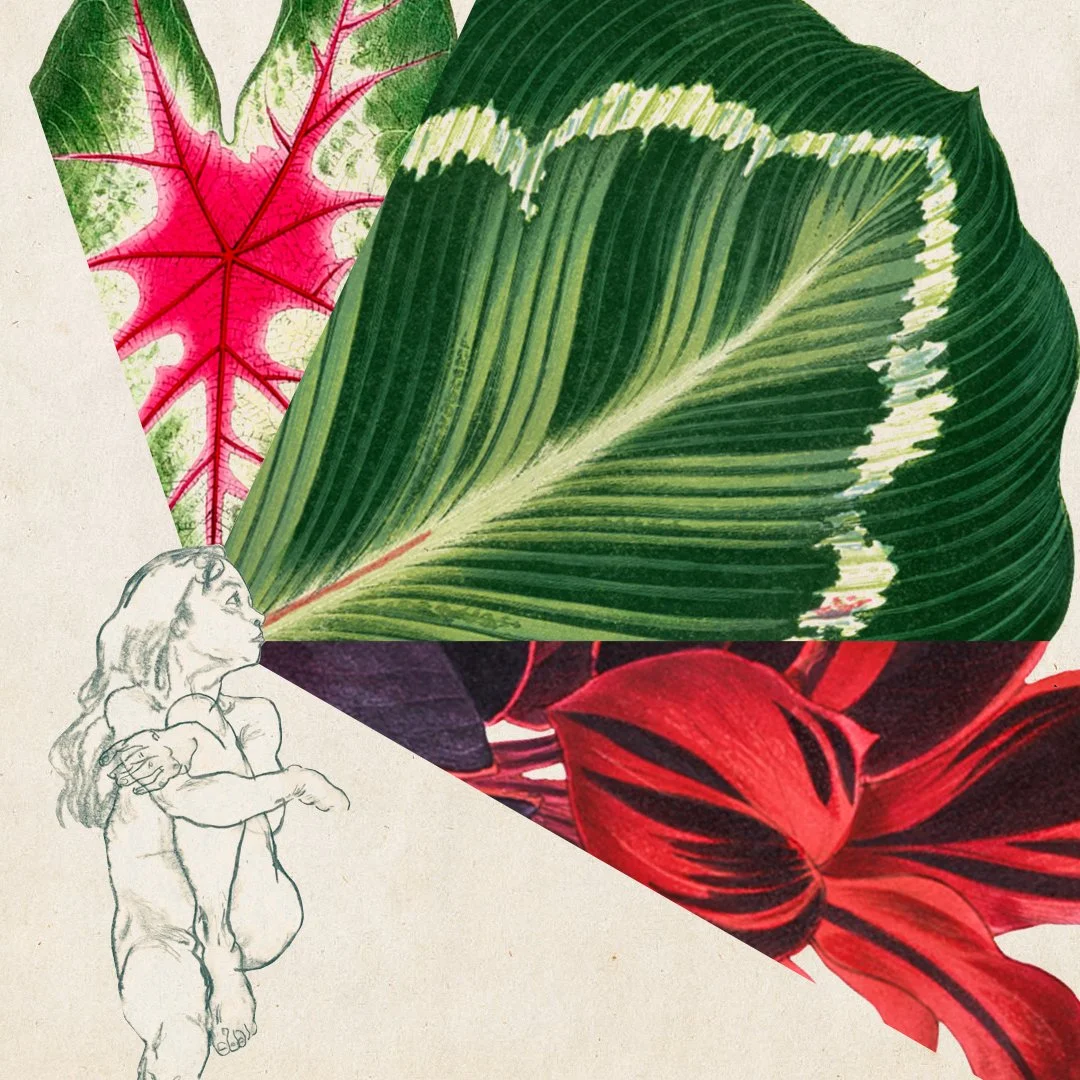 plant.jpg