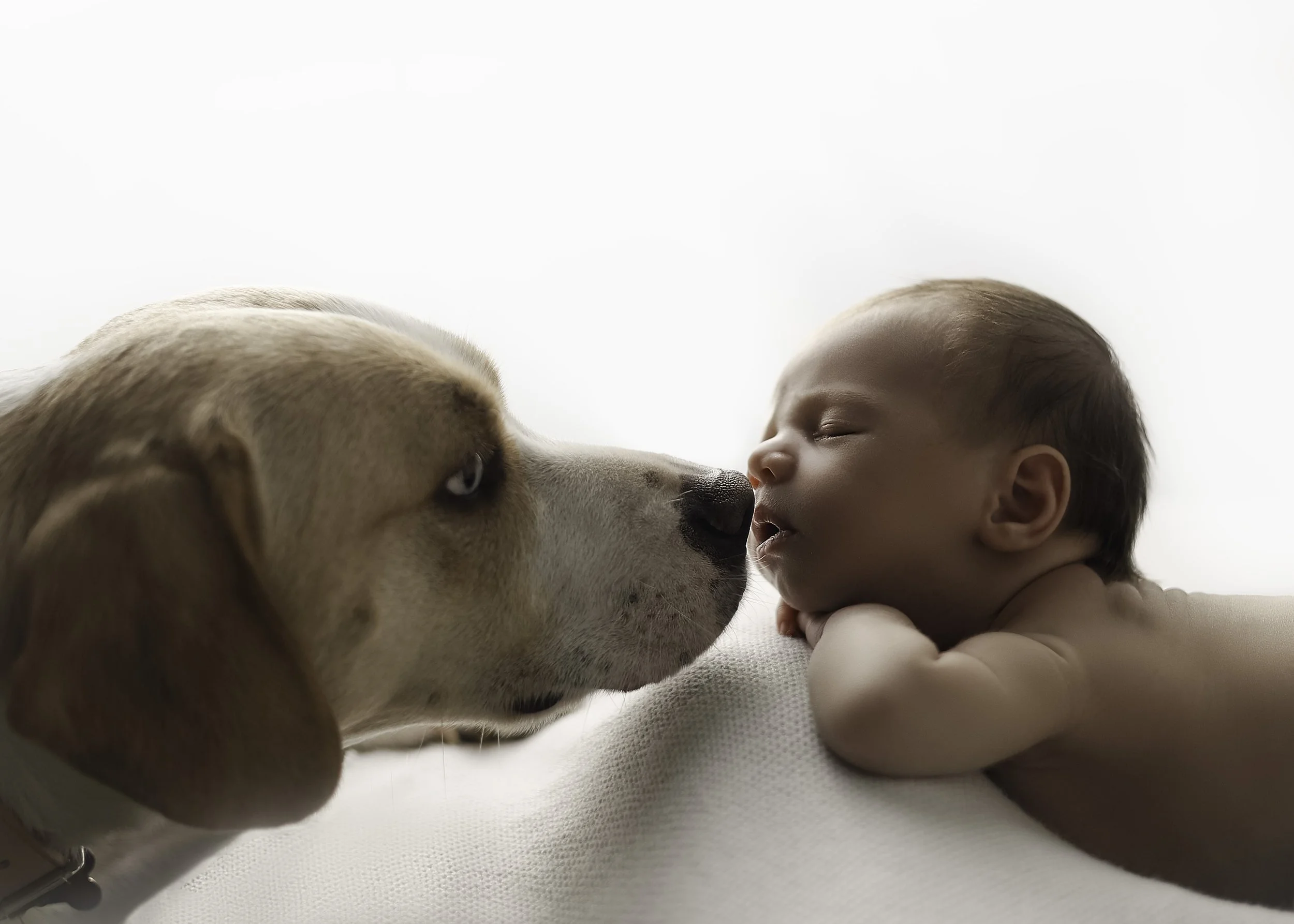 Best Photography in Nitro West Virginia. Top Rated Newborn Photography in Cross Lanes WV.  Studio Maternity in Charleston West Virginia. Best Baby Photos near South Charleston WV. Indoor Pregnancy Photoshoot Madison WV. 