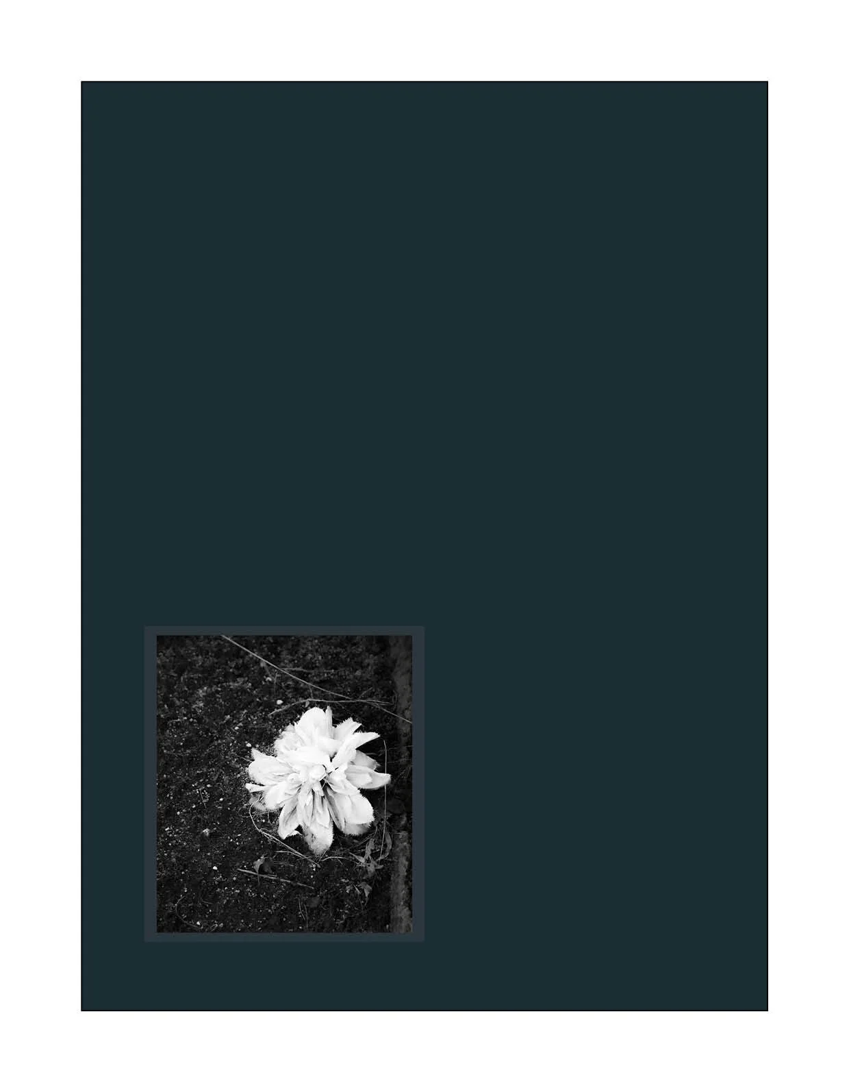 FORGET ME NOT36.jpg