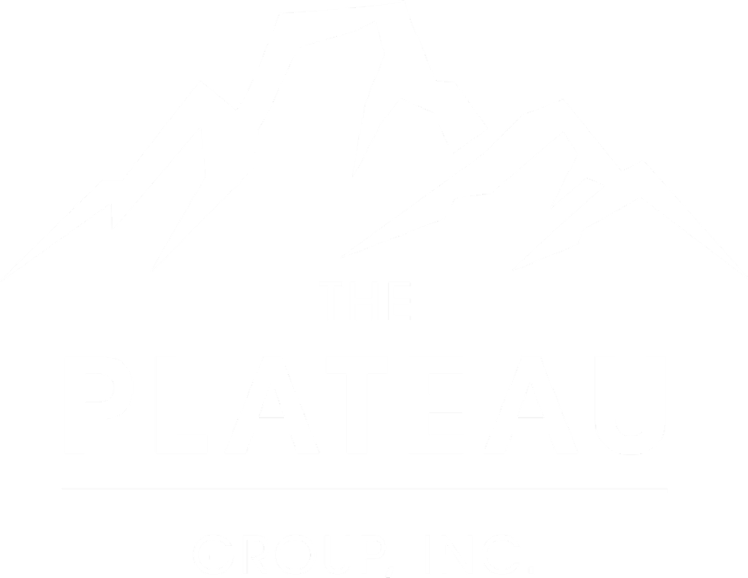 The Plateau Group