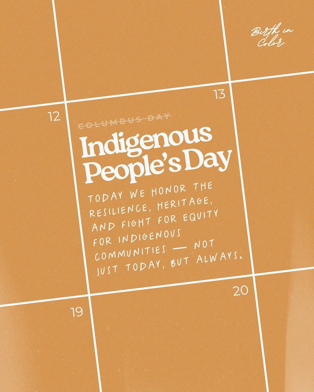 Recognition without action is meaningless. 

Geography and race should NOT determine survival, yet rural Indigenous women experience severe maternal complications at rates 1.9x higher than their urban White counterparts. 

Indigenous Peoples&rsquo; D