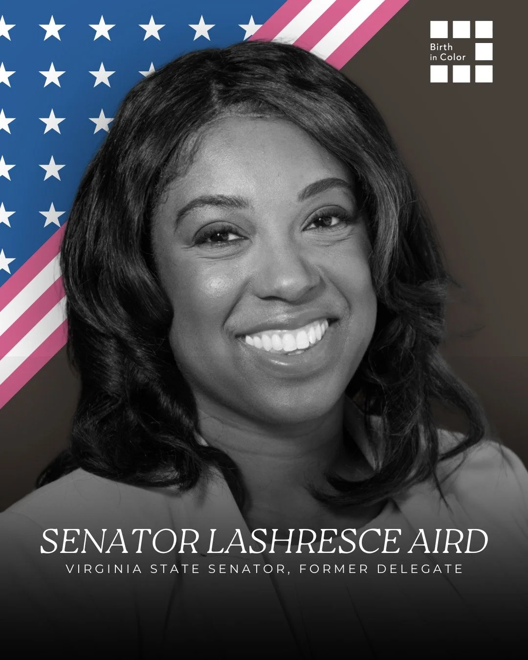 She made Virginia the first southern state to declare racism a public health crisis. Now Senator Lashrecse Aird is bringing that same energy to The Black House.
Join us this April 17th for Virginia&rsquo;s Black Maternal Health Summit

🔗 https://bir