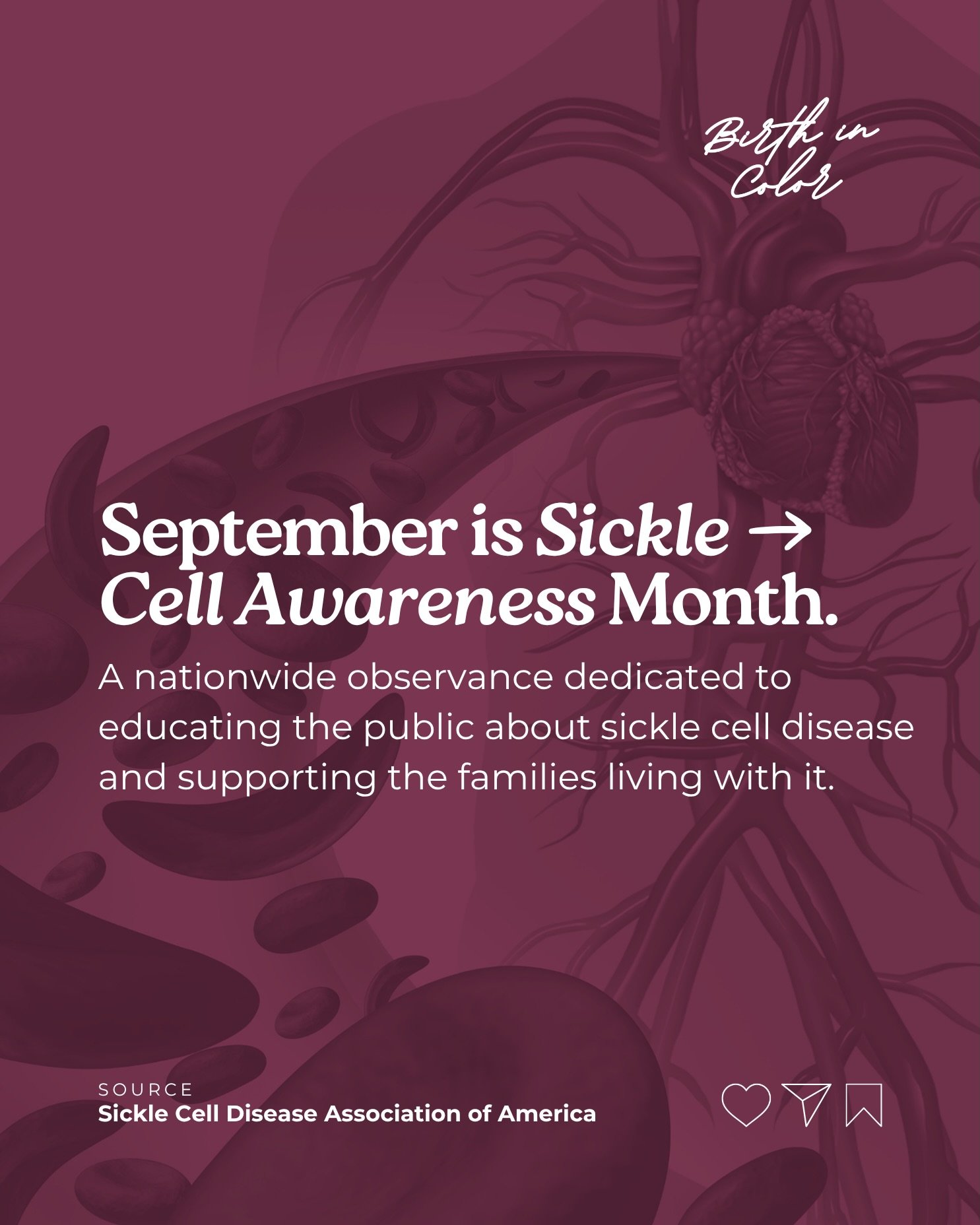 Sickle cell disease hits Black communities harder than any other.   In Virginia, one in twelve African Americans in Hampton Roads carries the trait. 

Half the Commonwealth&rsquo;s sickle cell community lives in that one region.

On June 11th, Govern