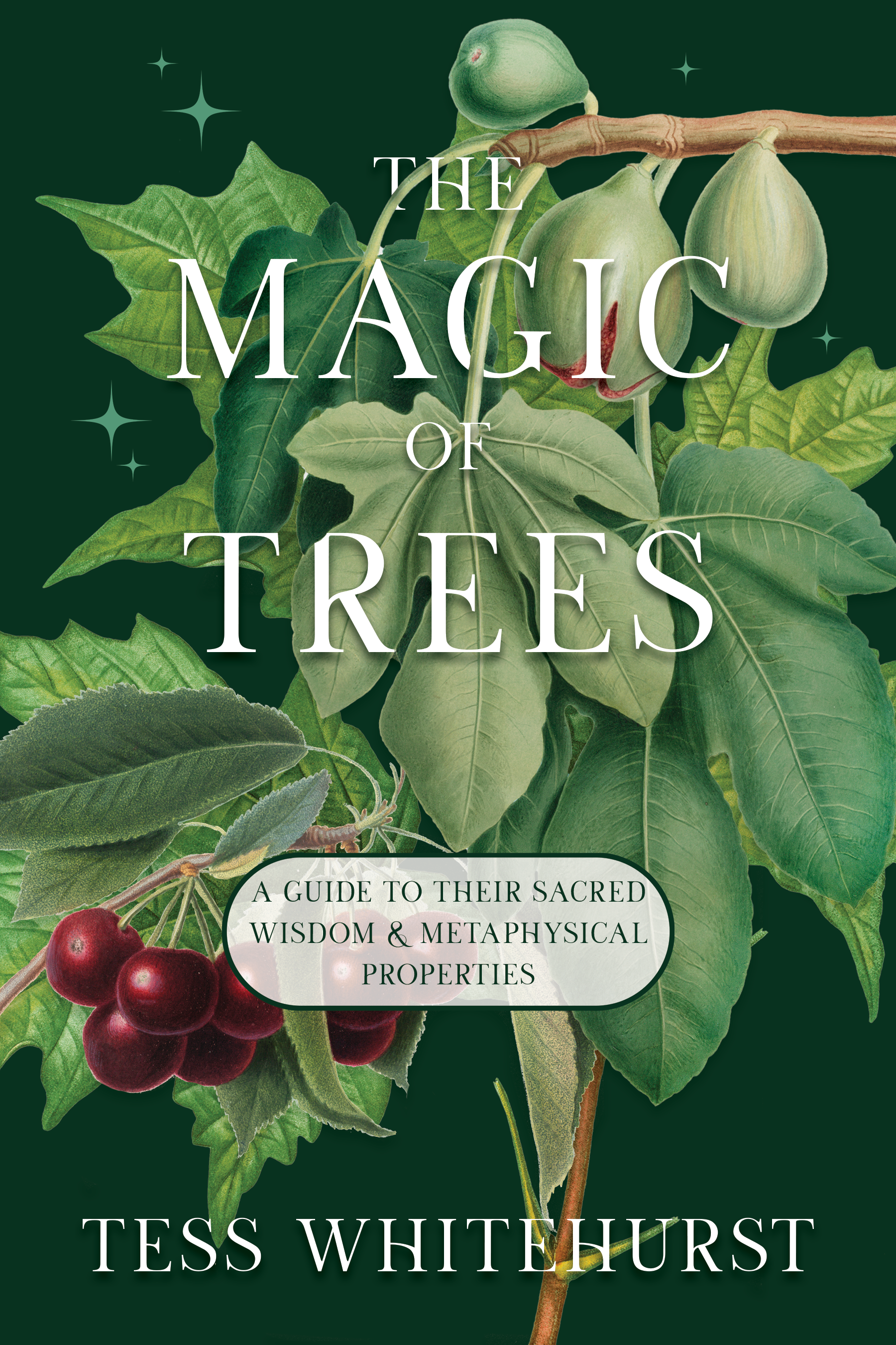 The Magic of Trees: A Guide to Their Sacred Wisdom & Metaphysical Properties