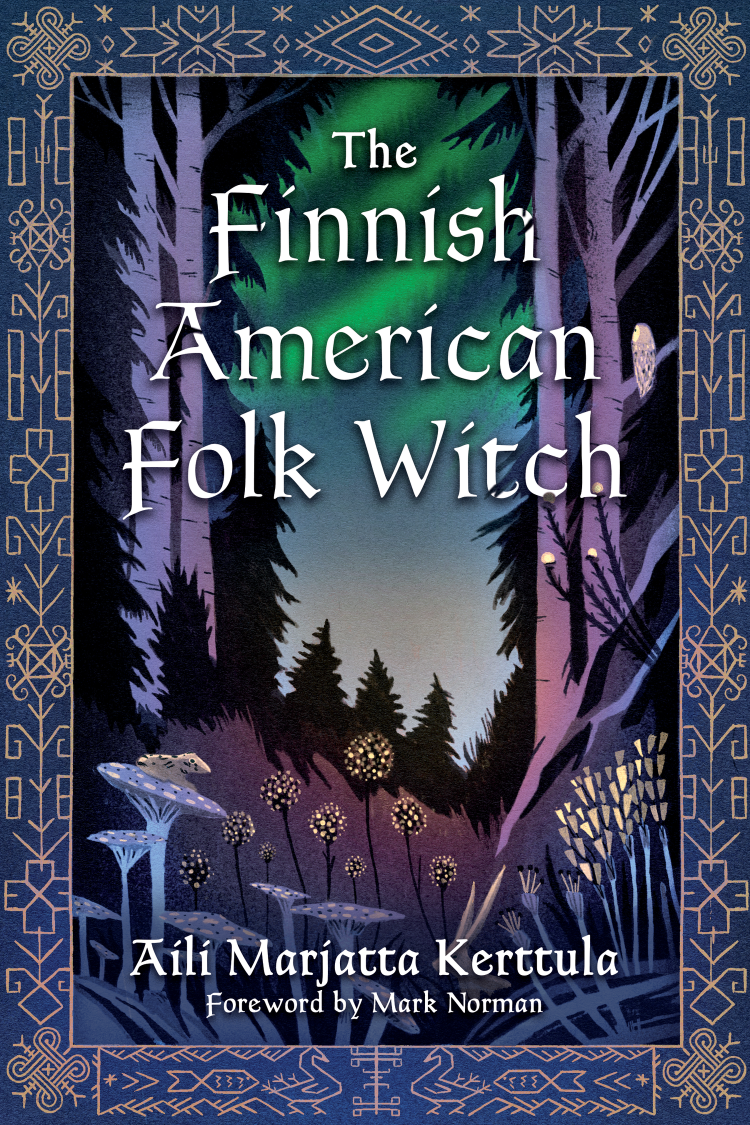 The Finnish-American Folk Witch book cover