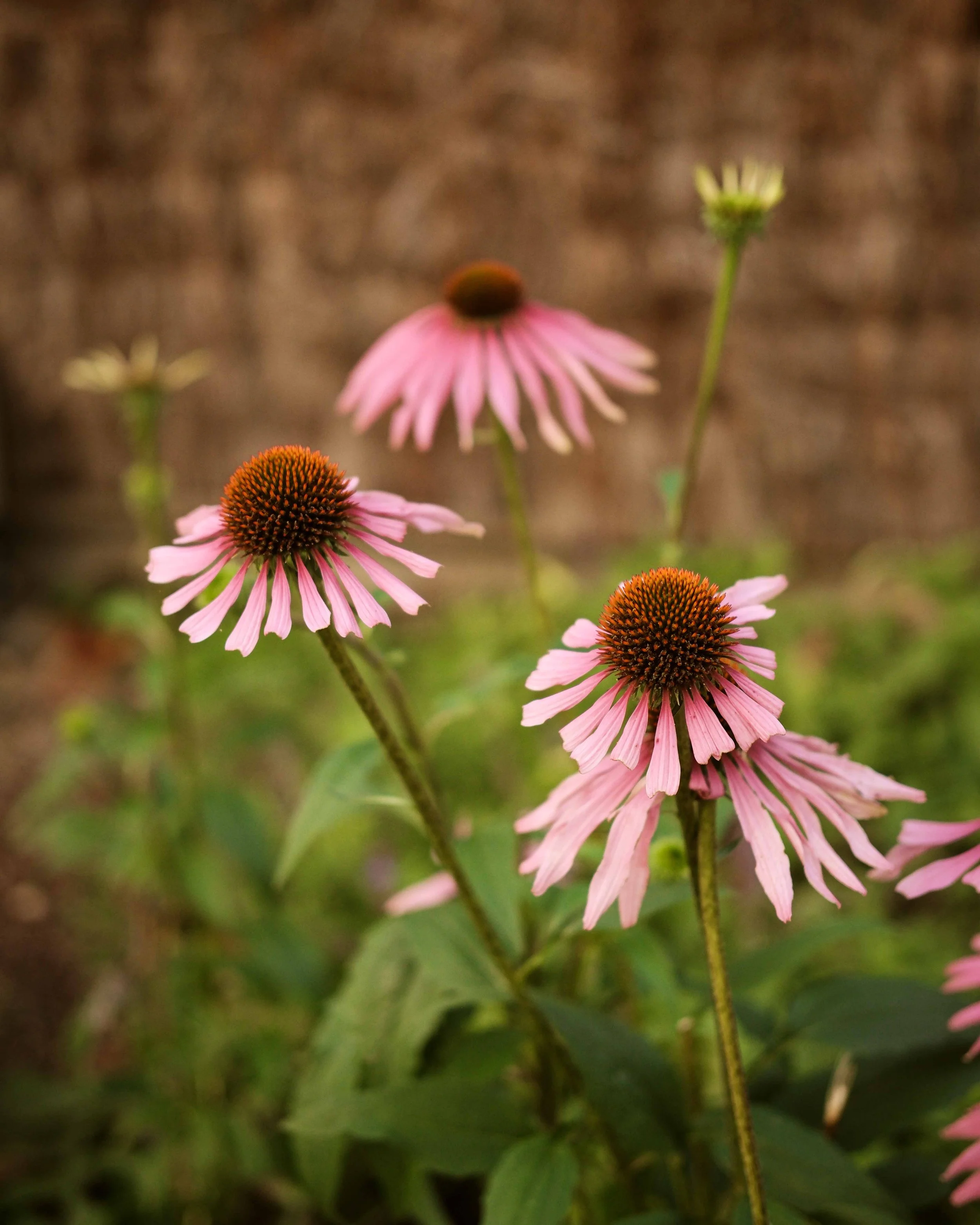 Off Grid Girona 21.jpg