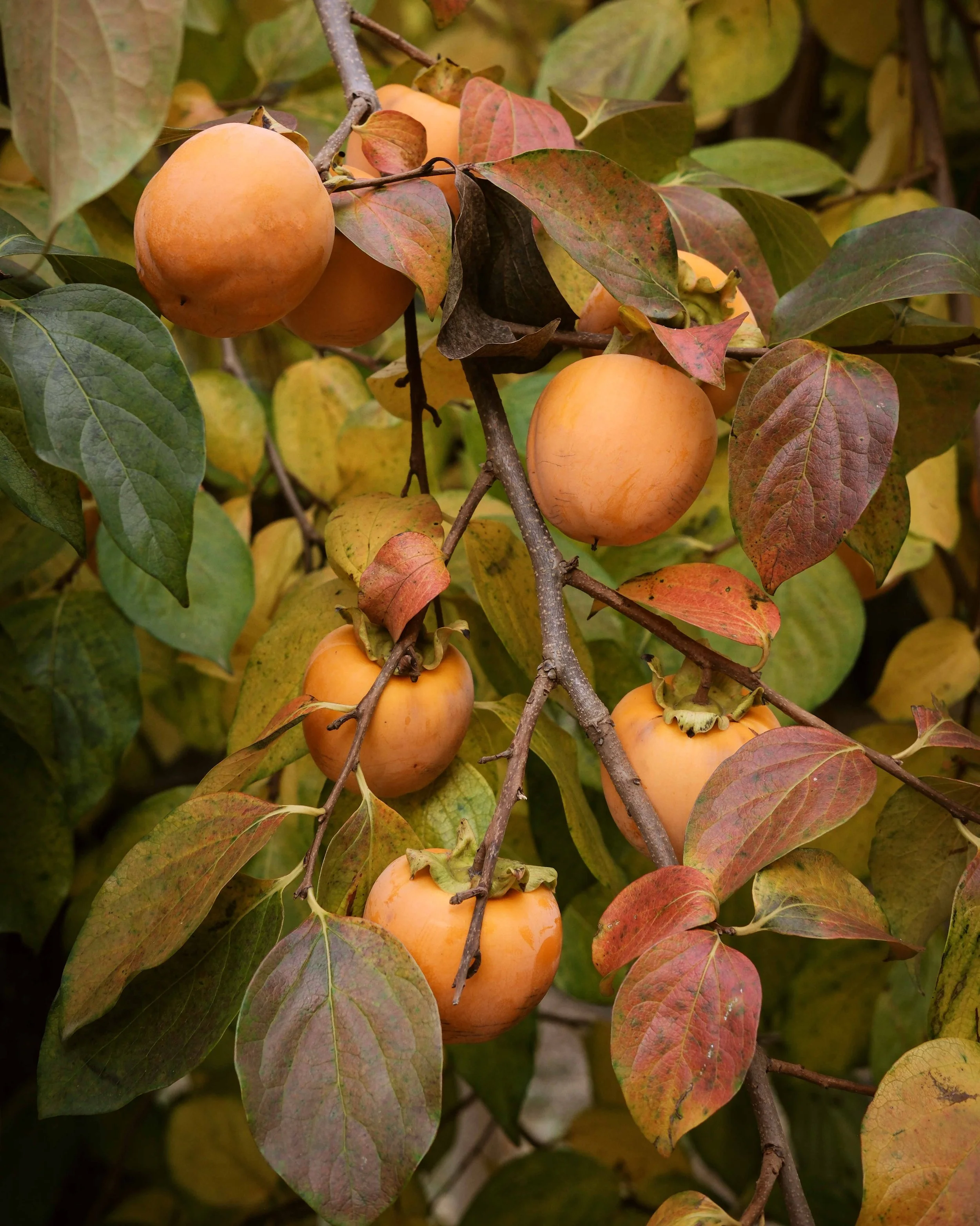 Off Grid Girona 22.jpg