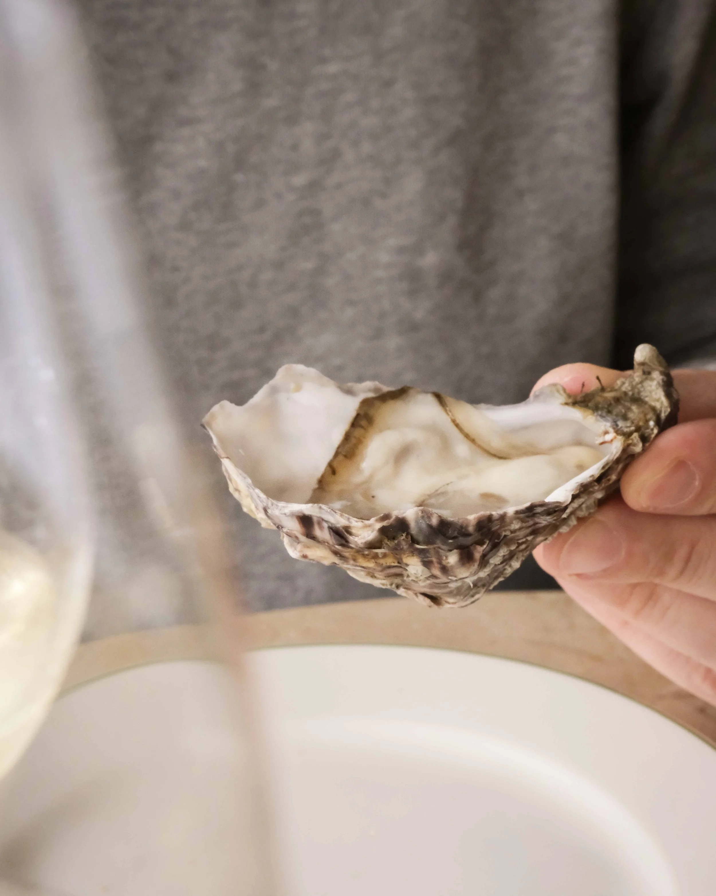 Oysters Menorca Barcelona 12.jpg