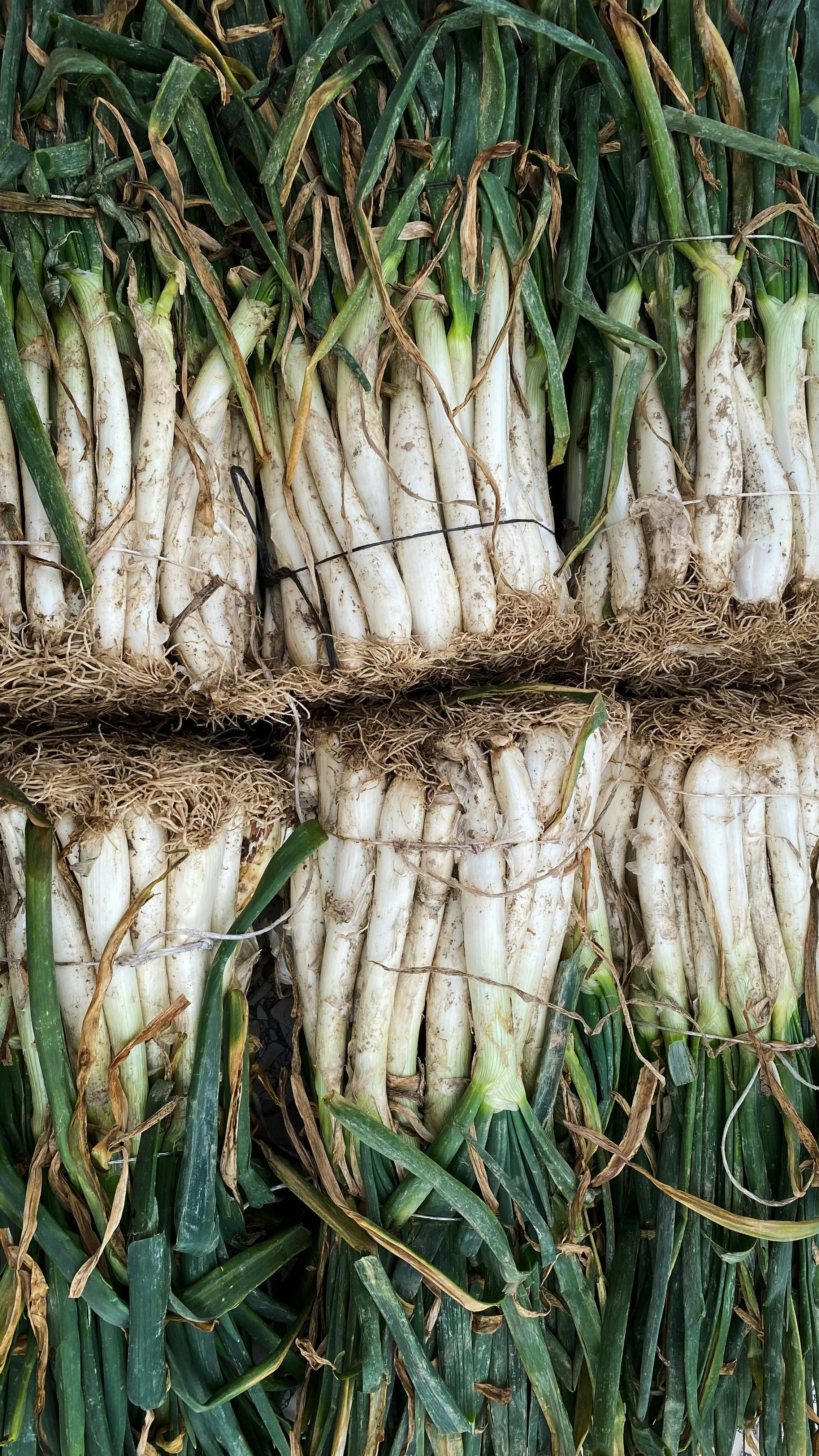 Calçots restaurants Barcelona.jpg