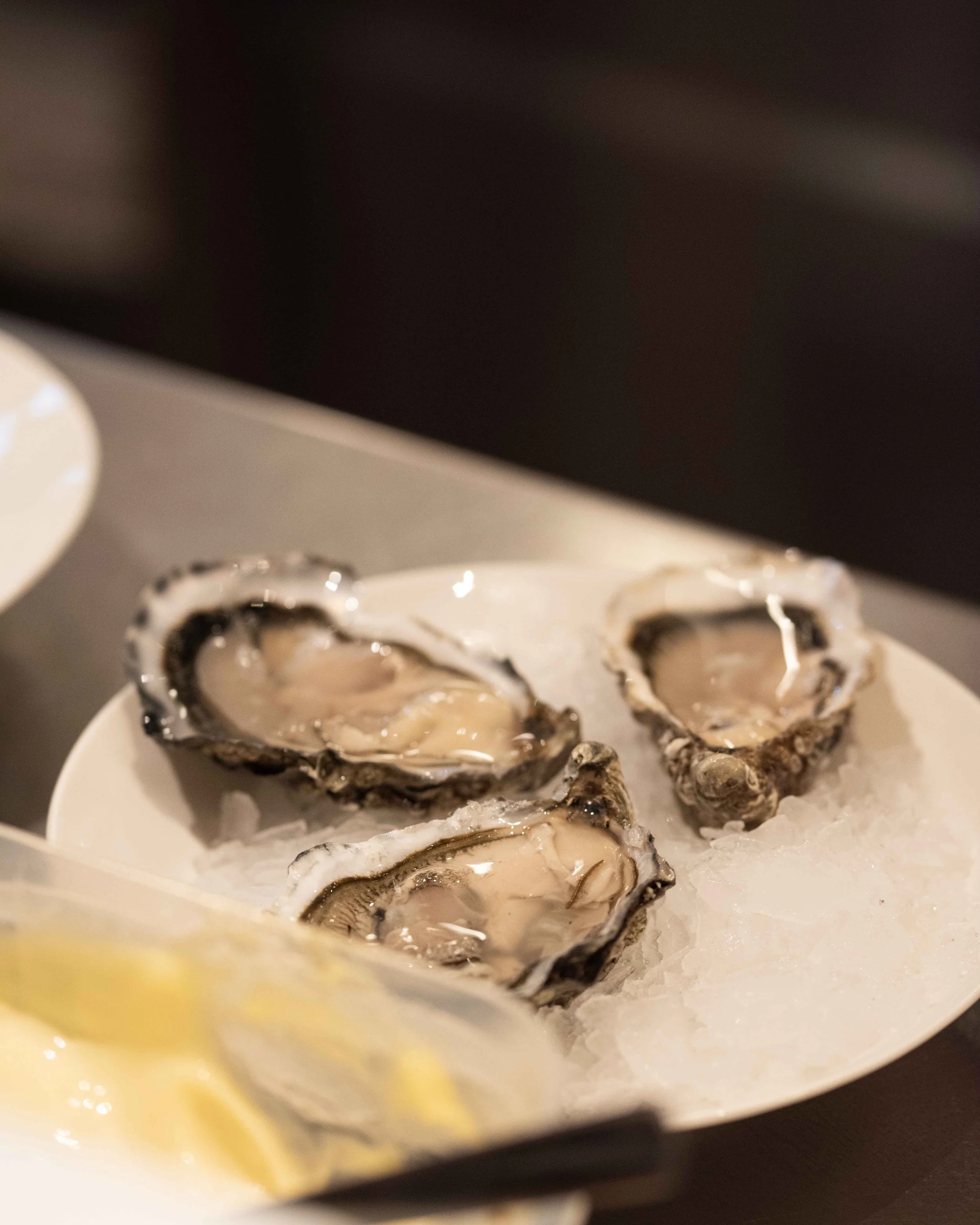 Rabbit’s Bar Tapas and Vibes — Barcelona Food Experience