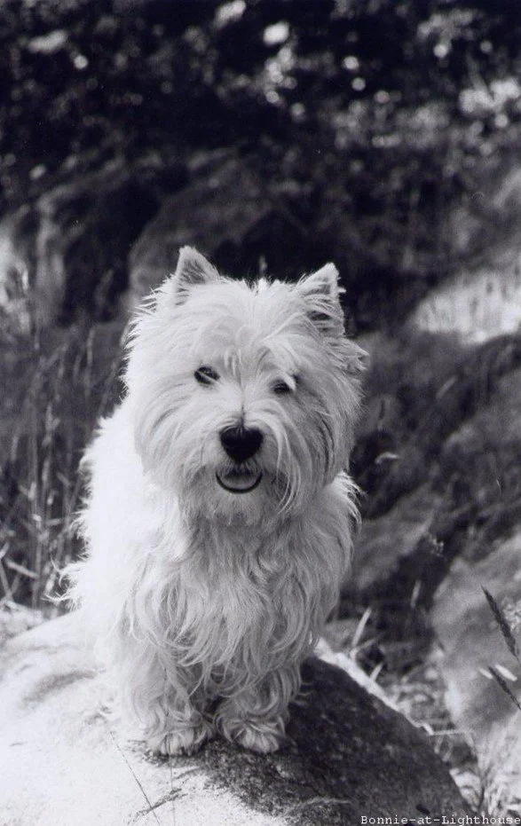 BLOG Unschooling4.jpg