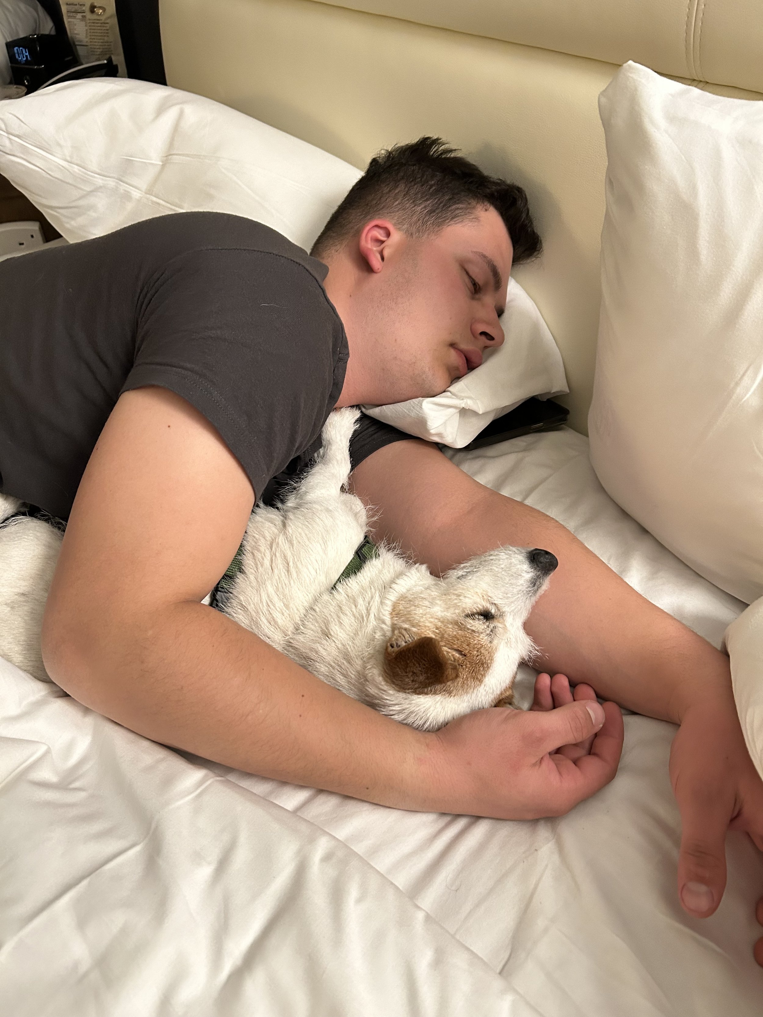 How to be more like your dog with ‘Wu Wei’ 
