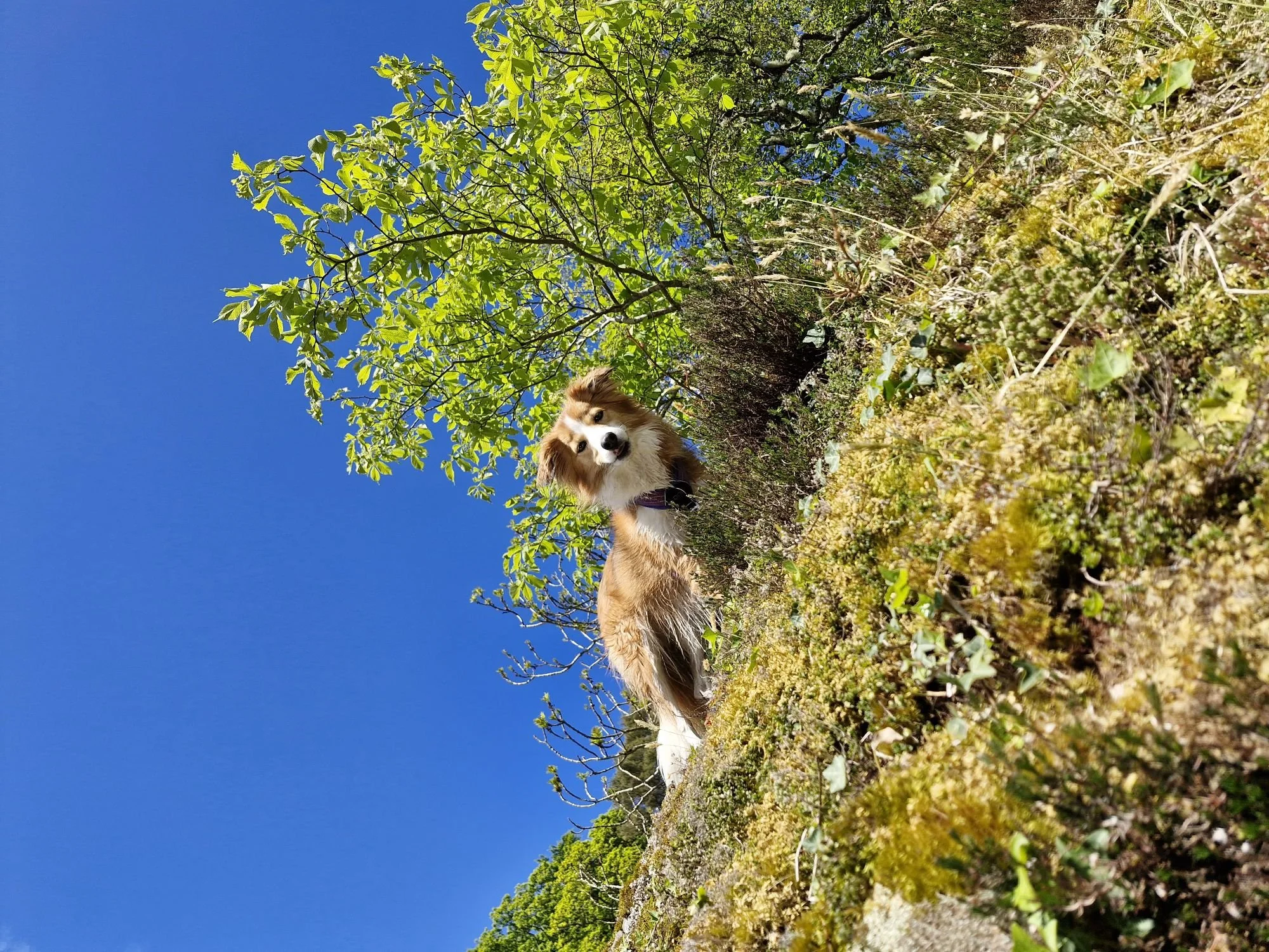 photo credit Karen Menzies.jpg