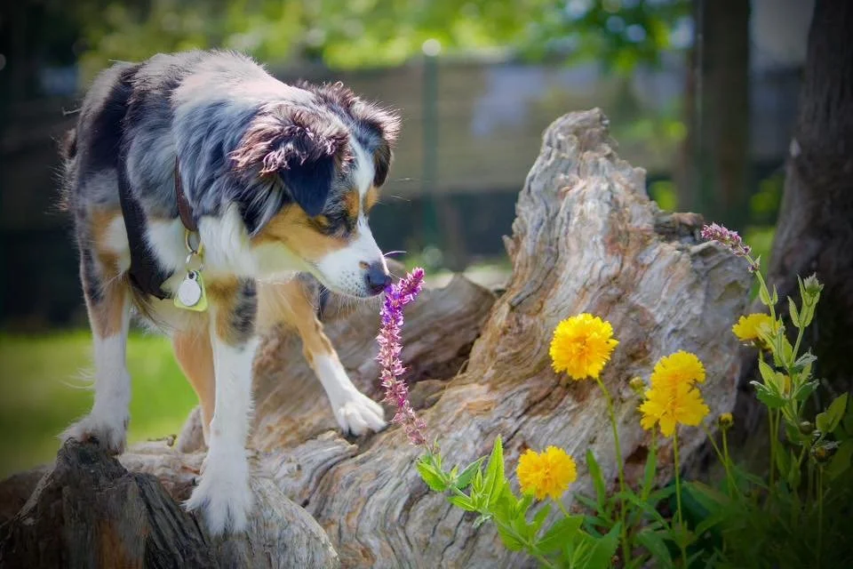photo credit Camille Pataracchia.jpg