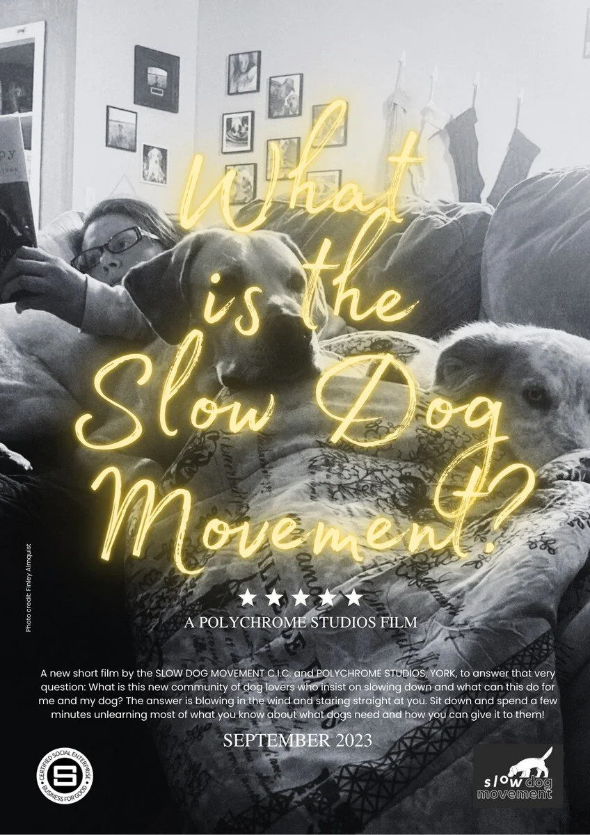 Slow Dog Movement film poster