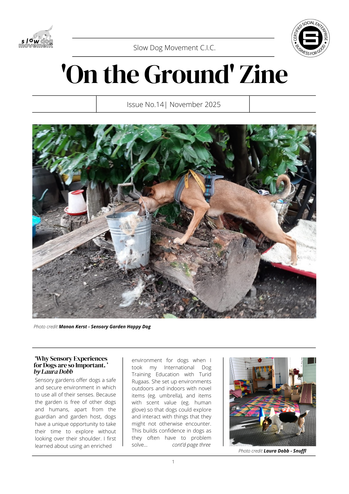 ZINE No. 14 - November 2025