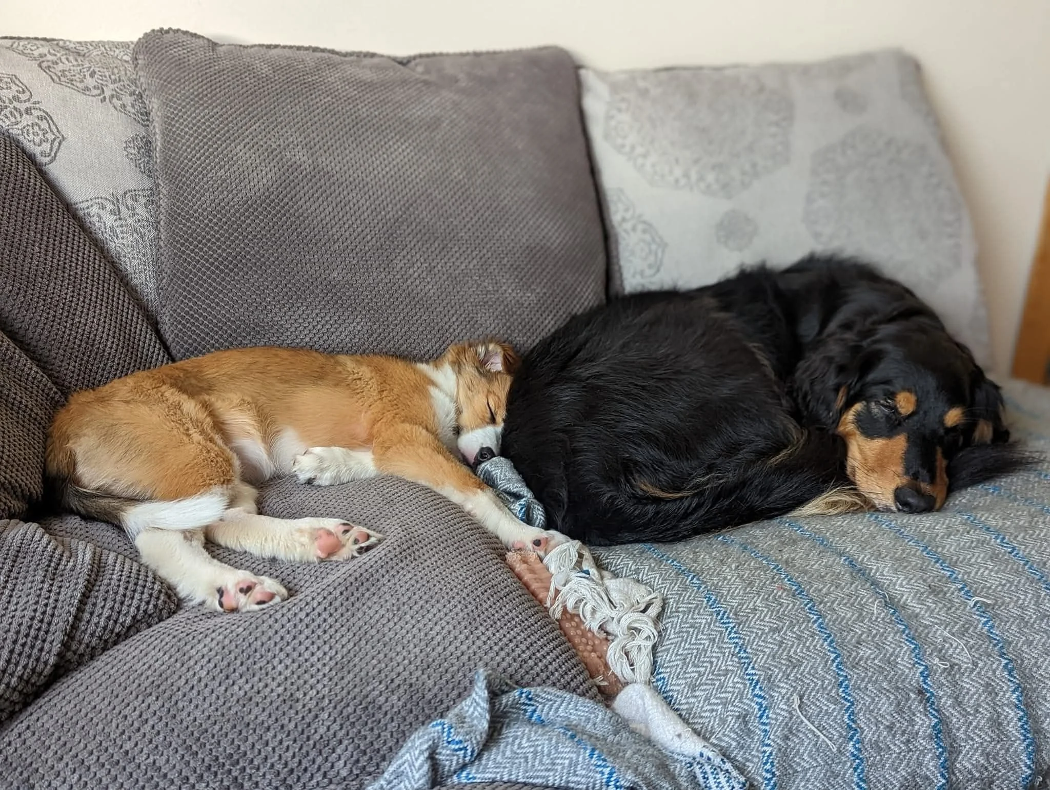 photo credit Karen Menzies 5.jpg