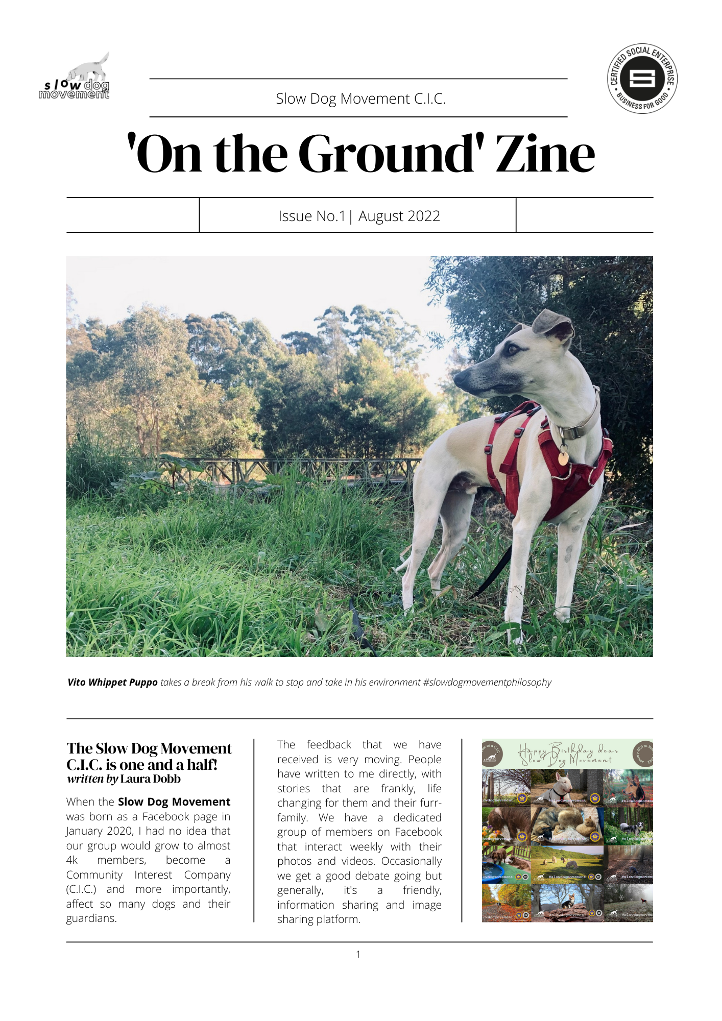 ZINE No. 1 - August 2022