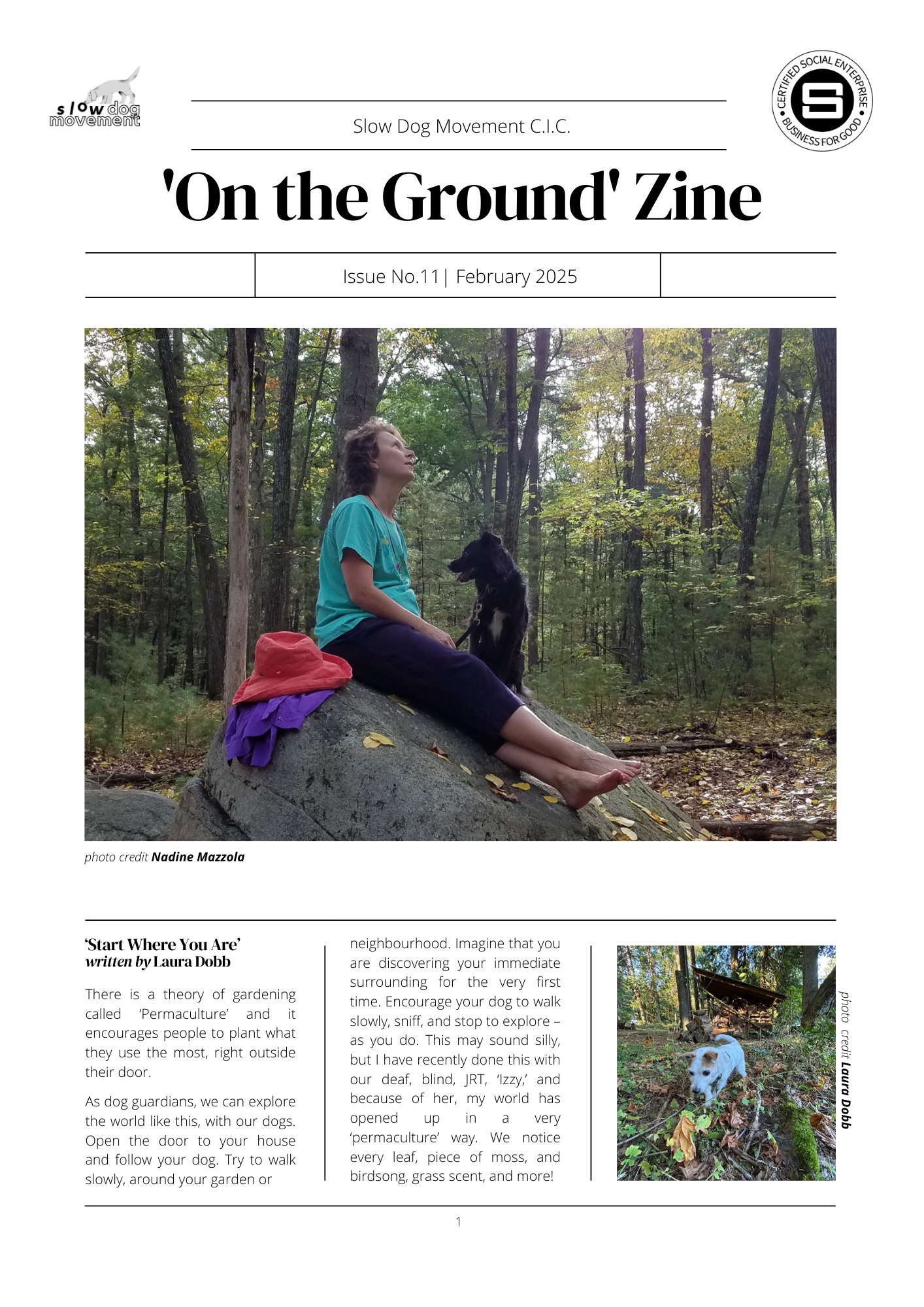 ZINE No. 11 - February 2025