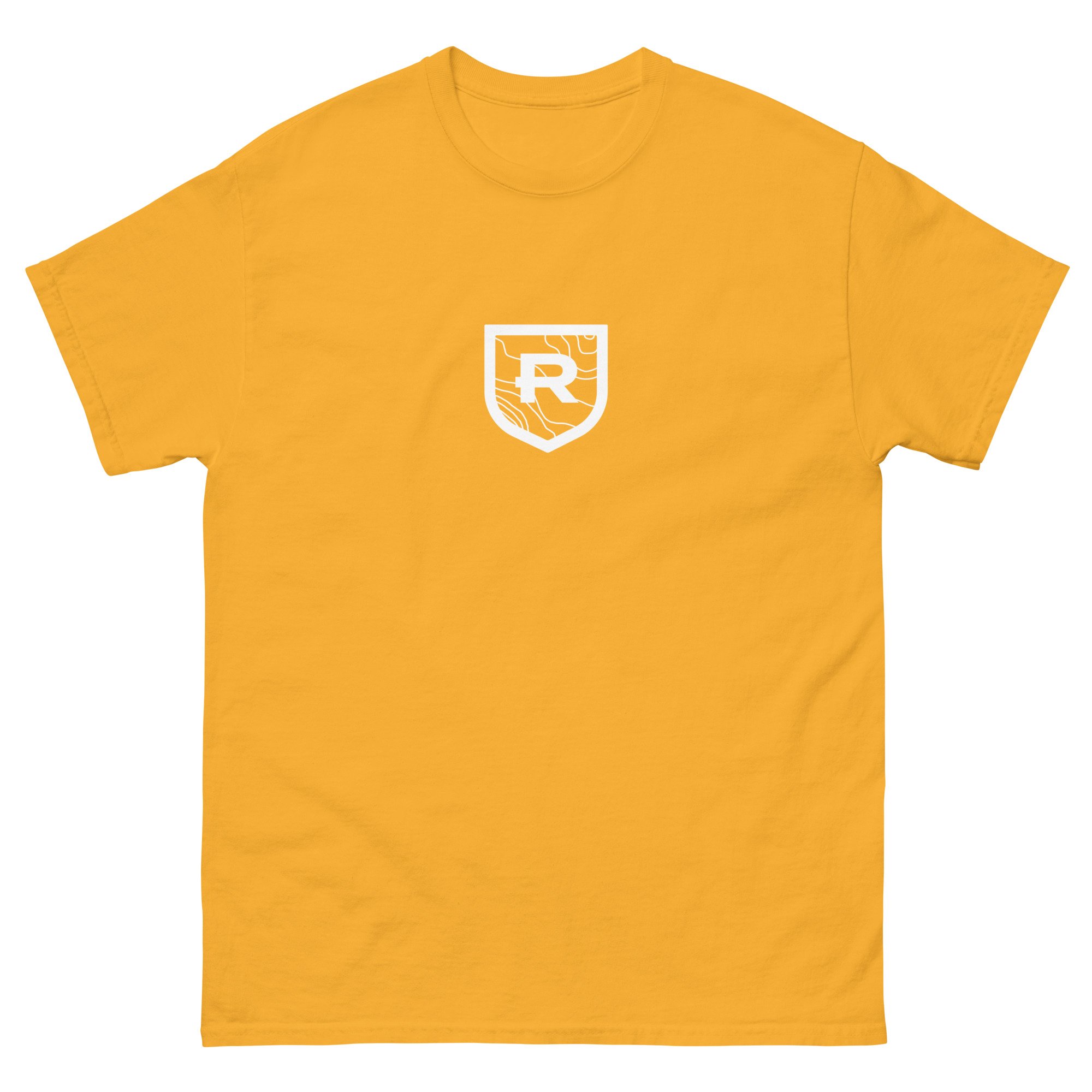 unisex-classic-tee-gold-front-686c764972342.jpg