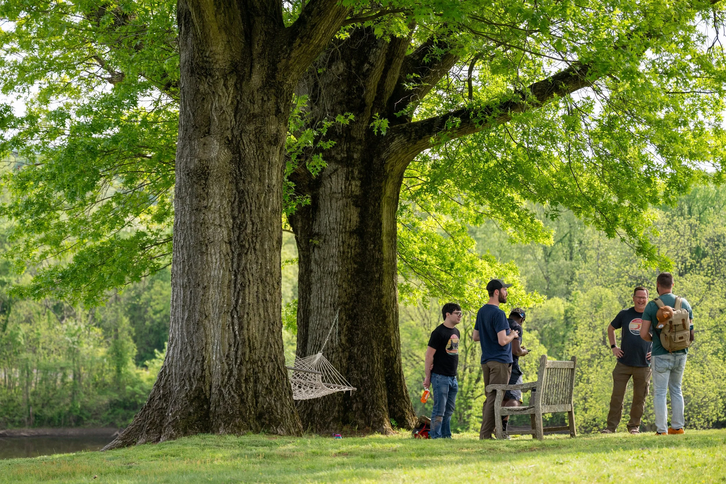 Grove Richmond 2025-10 (2).jpg