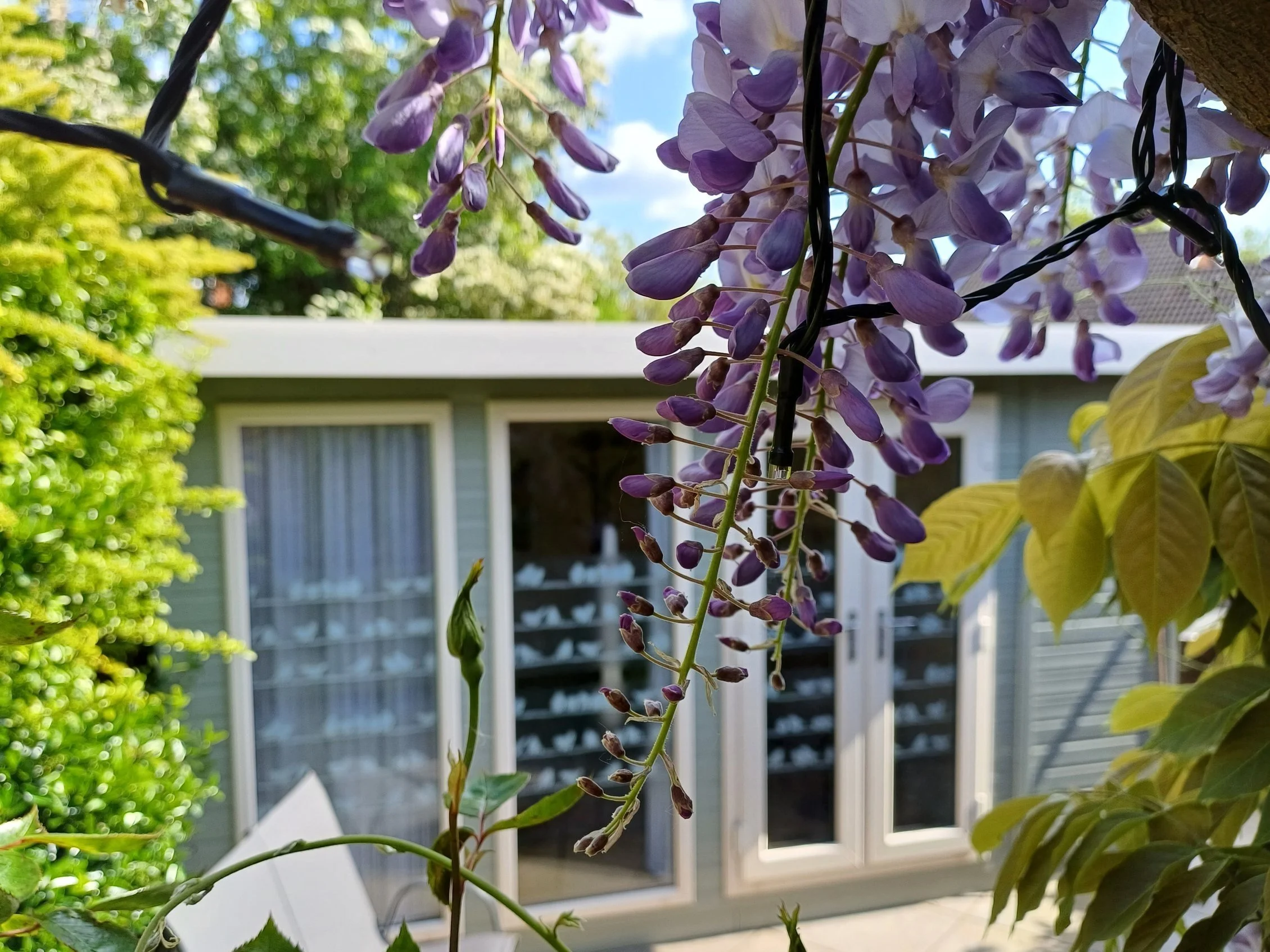 Contact - Booking — The Garden Spa