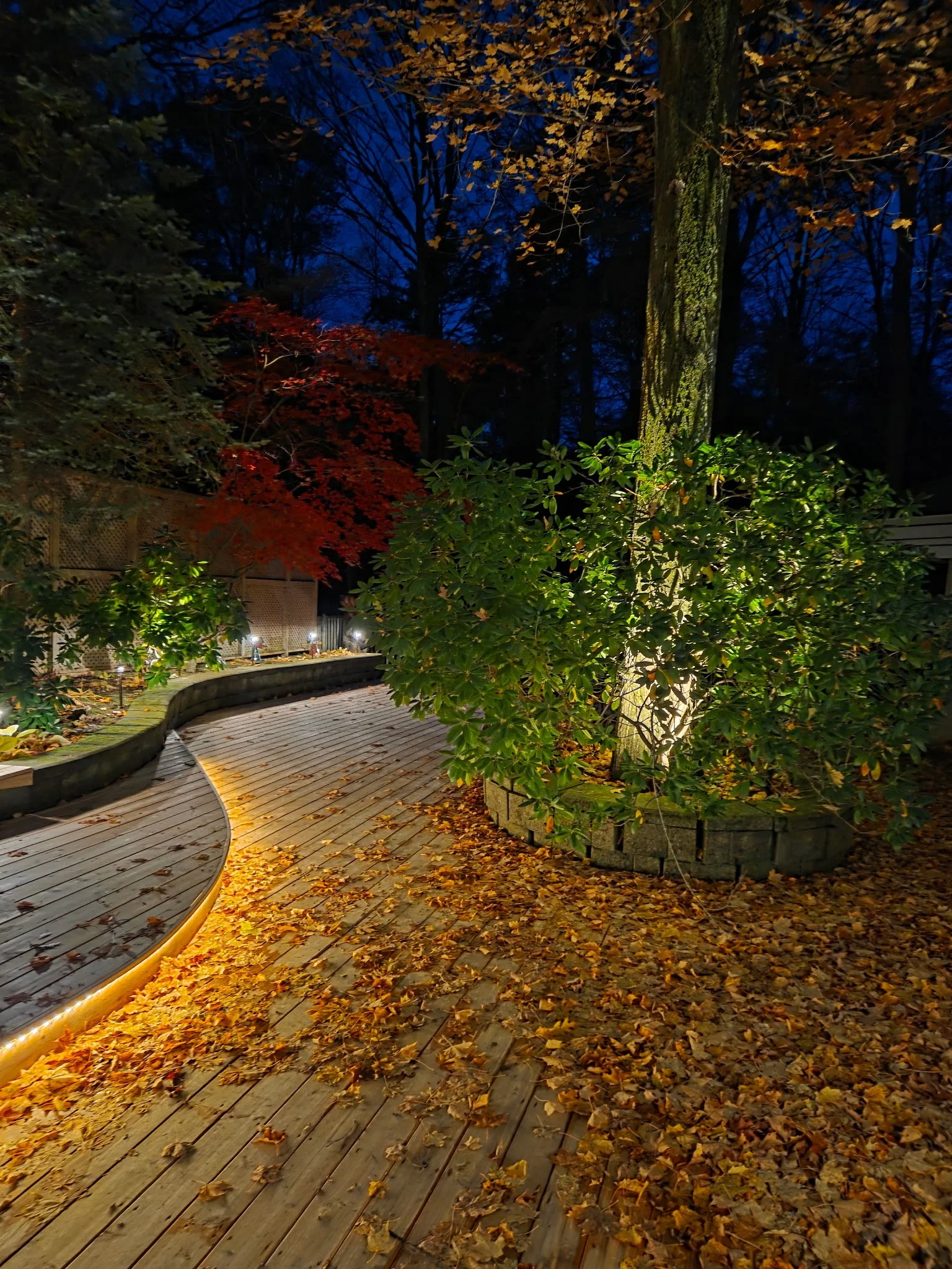 8946324260816549383 2.JPG