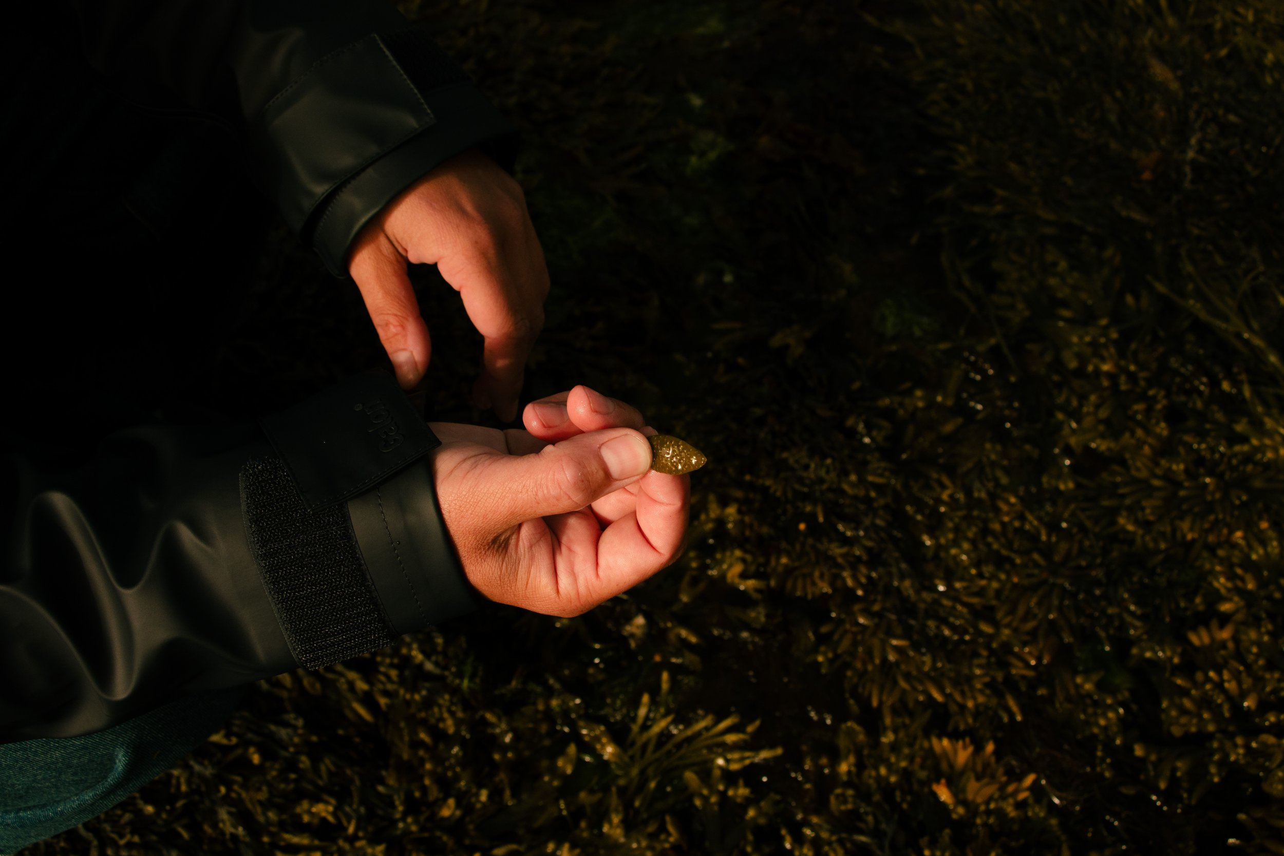 Didricksons SS25-182.jpg