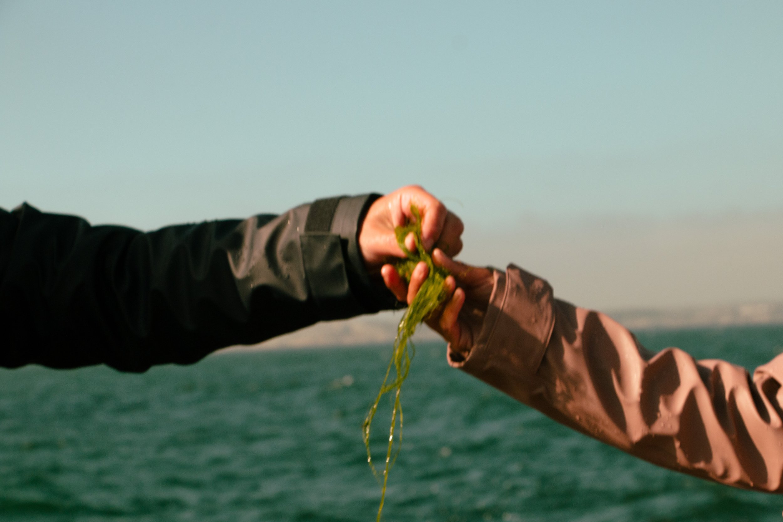 Didricksons SS25-235.jpg