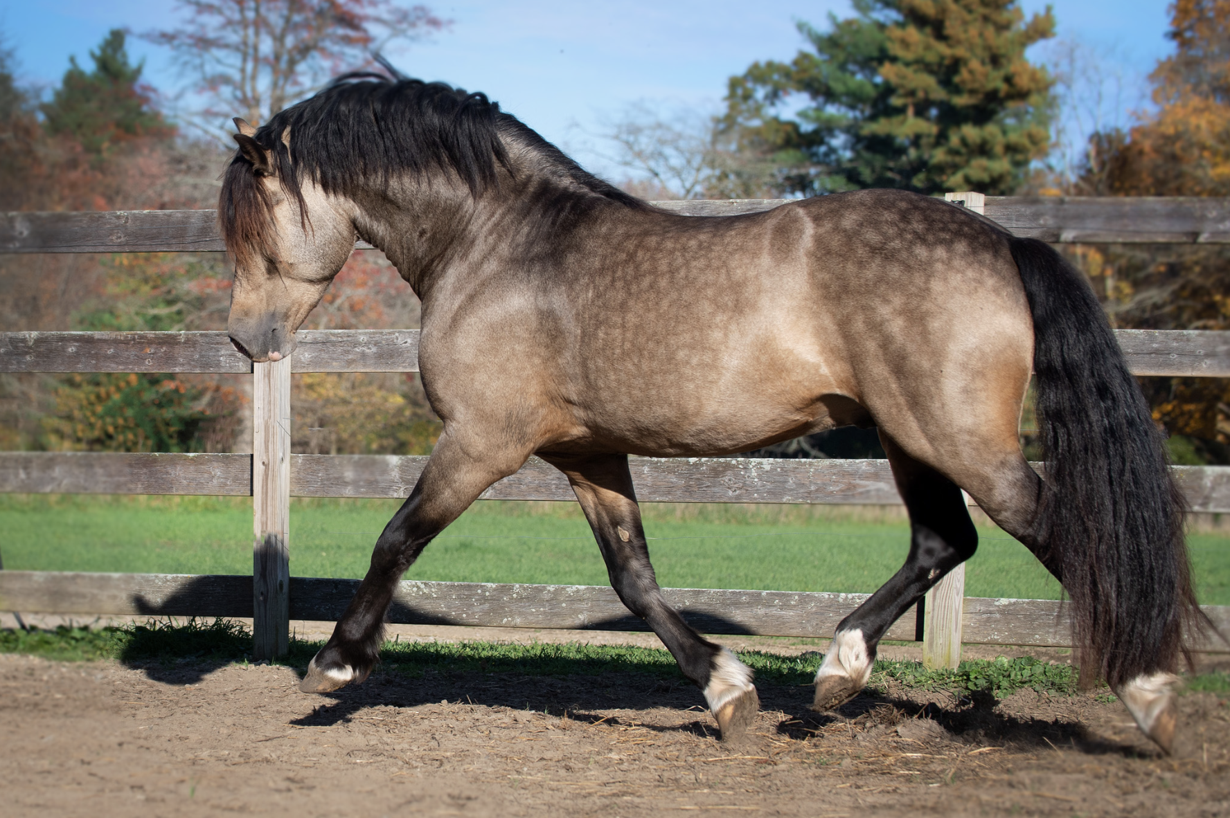 Screen Shot 2023-10-28 at 11.10.51 AM.png