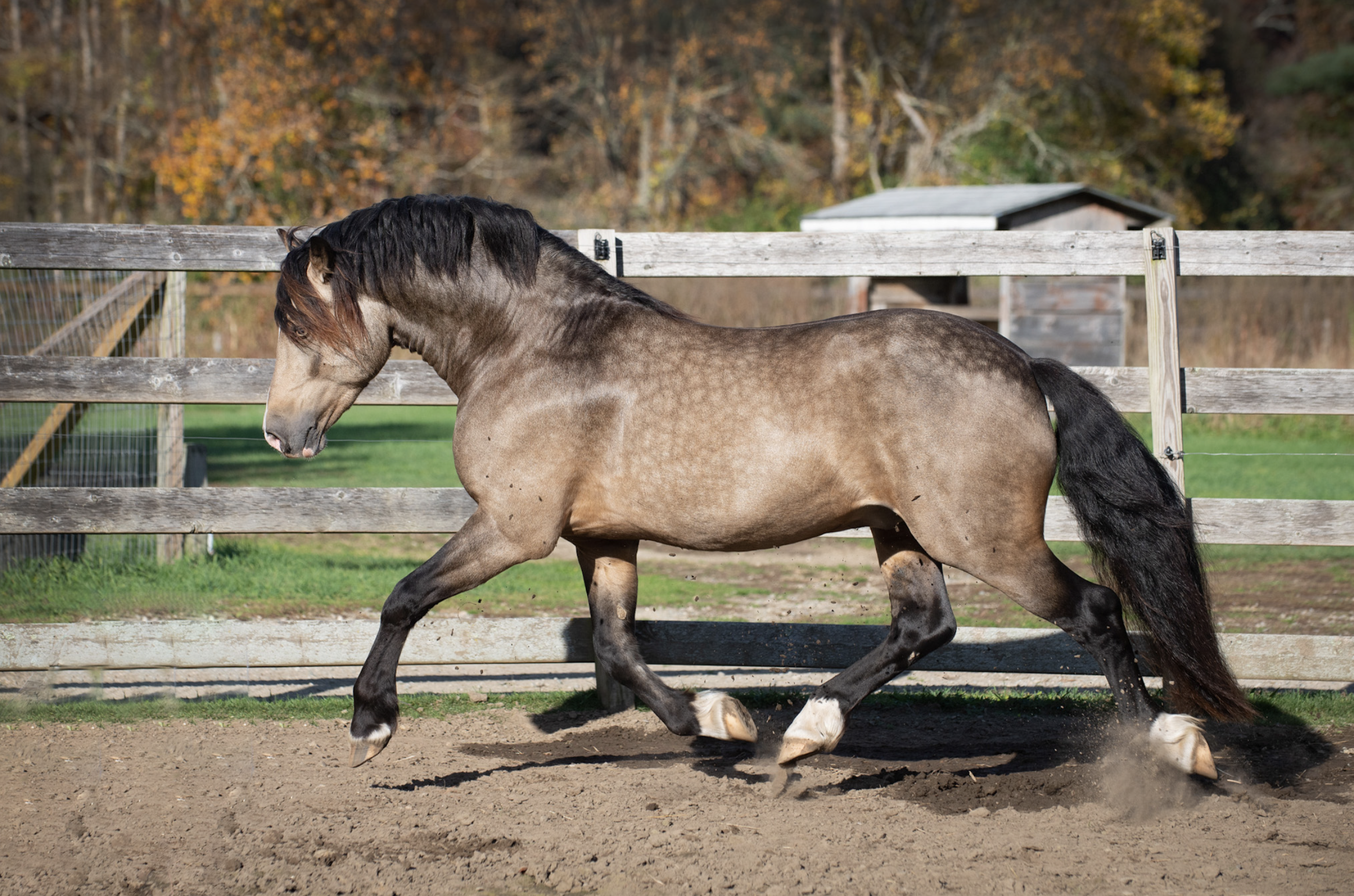 Screen Shot 2023-10-28 at 11.09.02 AM.png