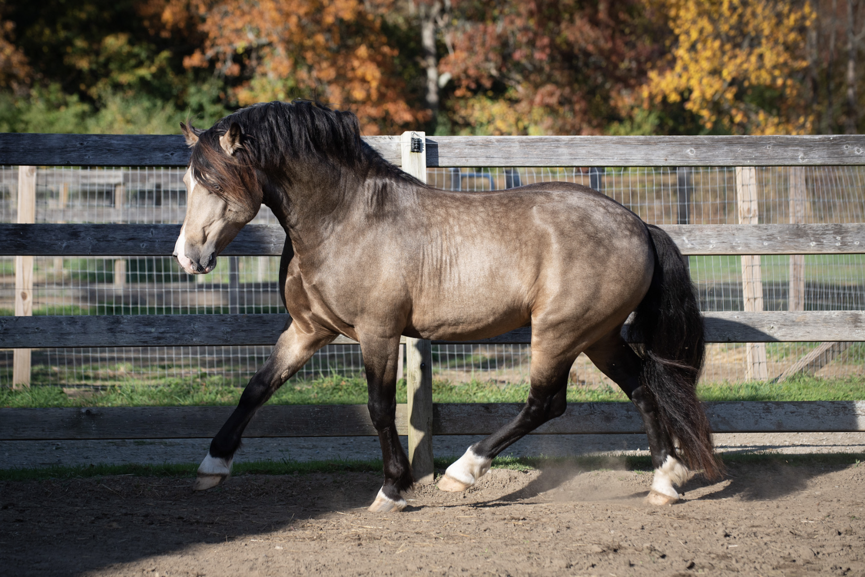 Screen Shot 2023-10-28 at 11.10.31 AM.png