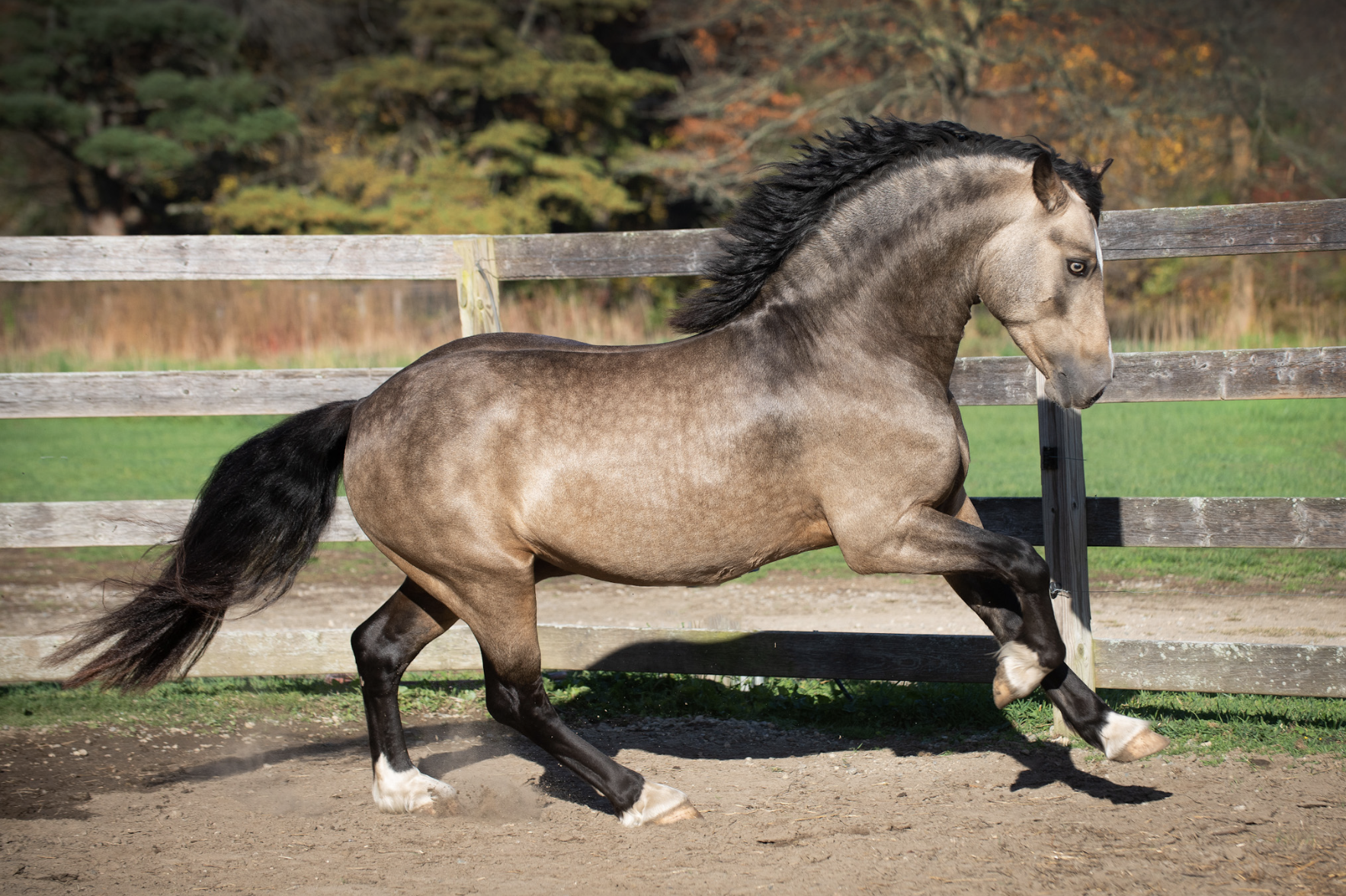 Screen Shot 2023-10-28 at 11.11.09 AM.png