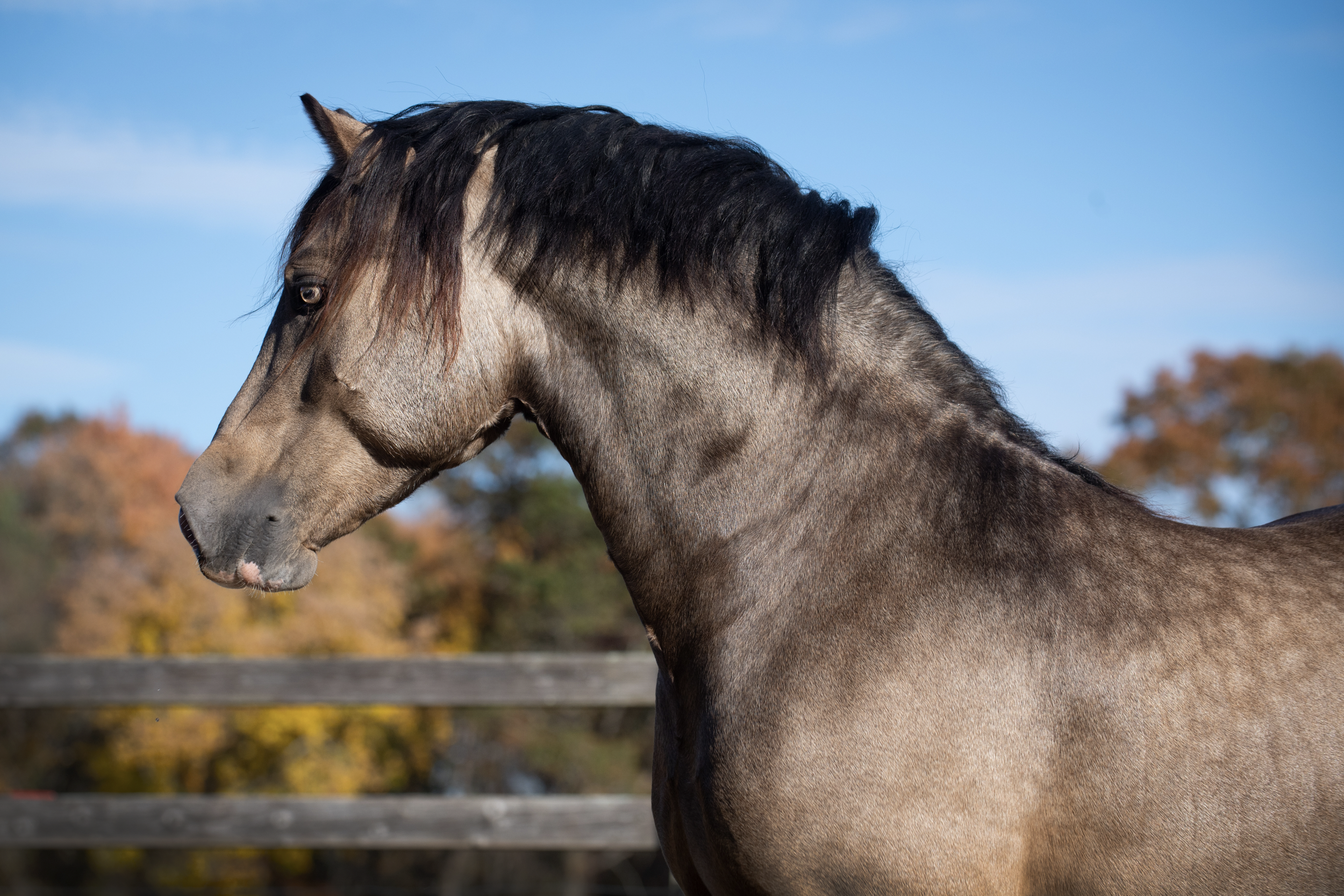 Screen Shot 2023-10-27 at 5.57.03 PM.png