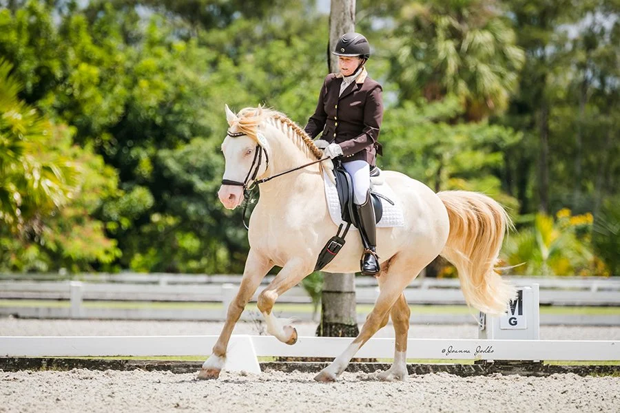 WFSFIII&IV090923-3177 Web Personal.jpg