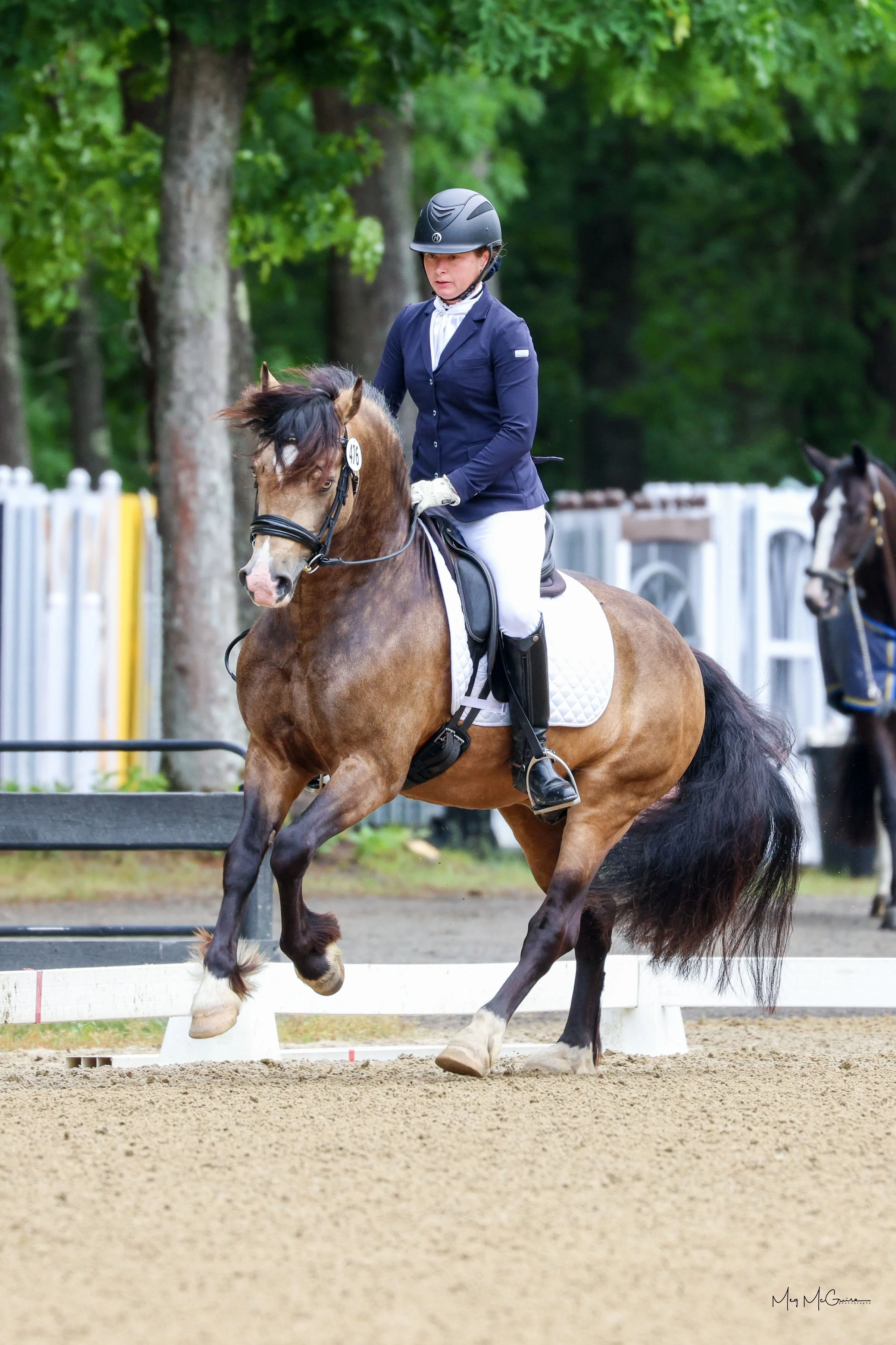 MMPQ3029©meg-mcguire.com.JPG