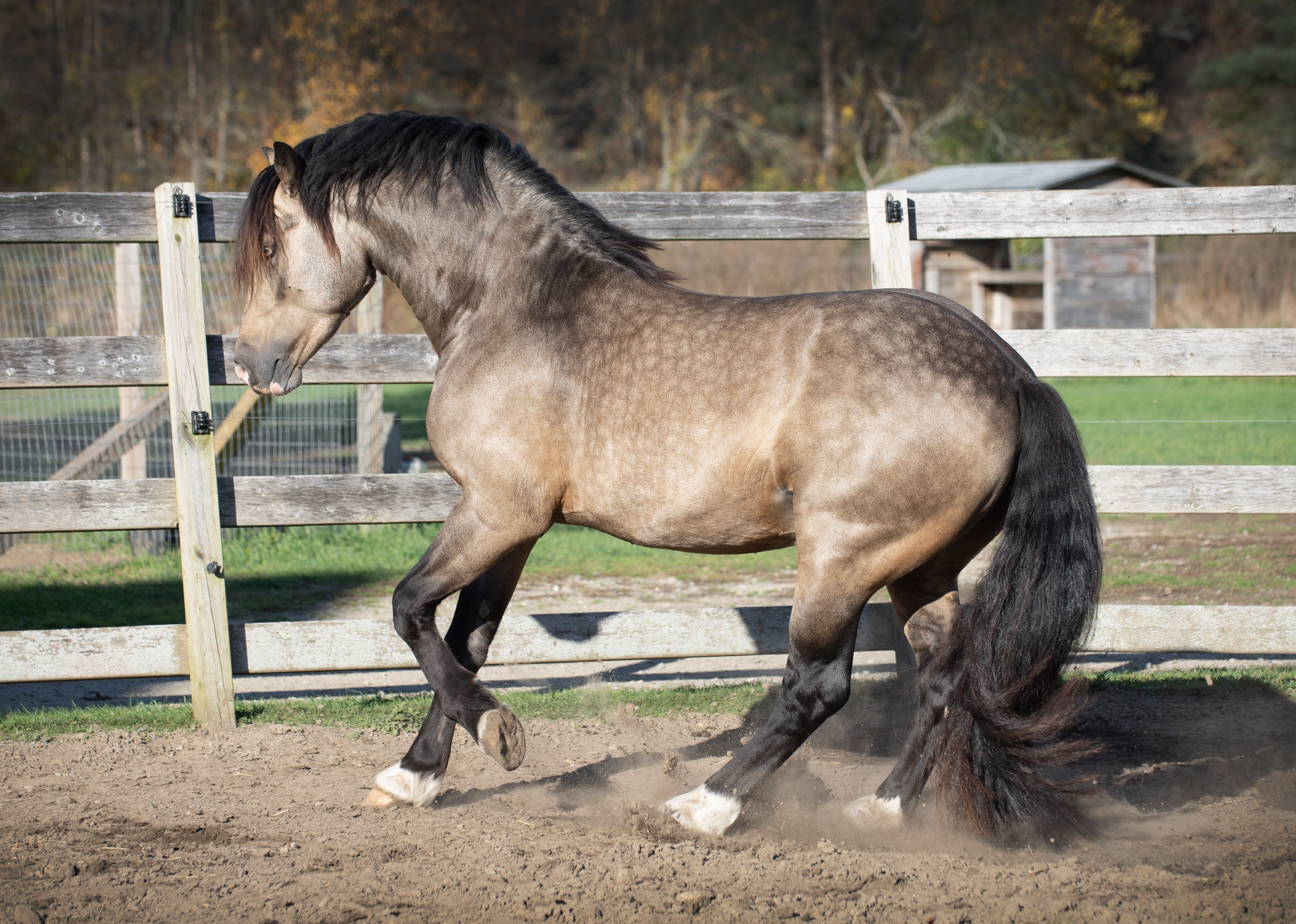 Screen Shot 2023-10-27 at 6.07.06 PM.png