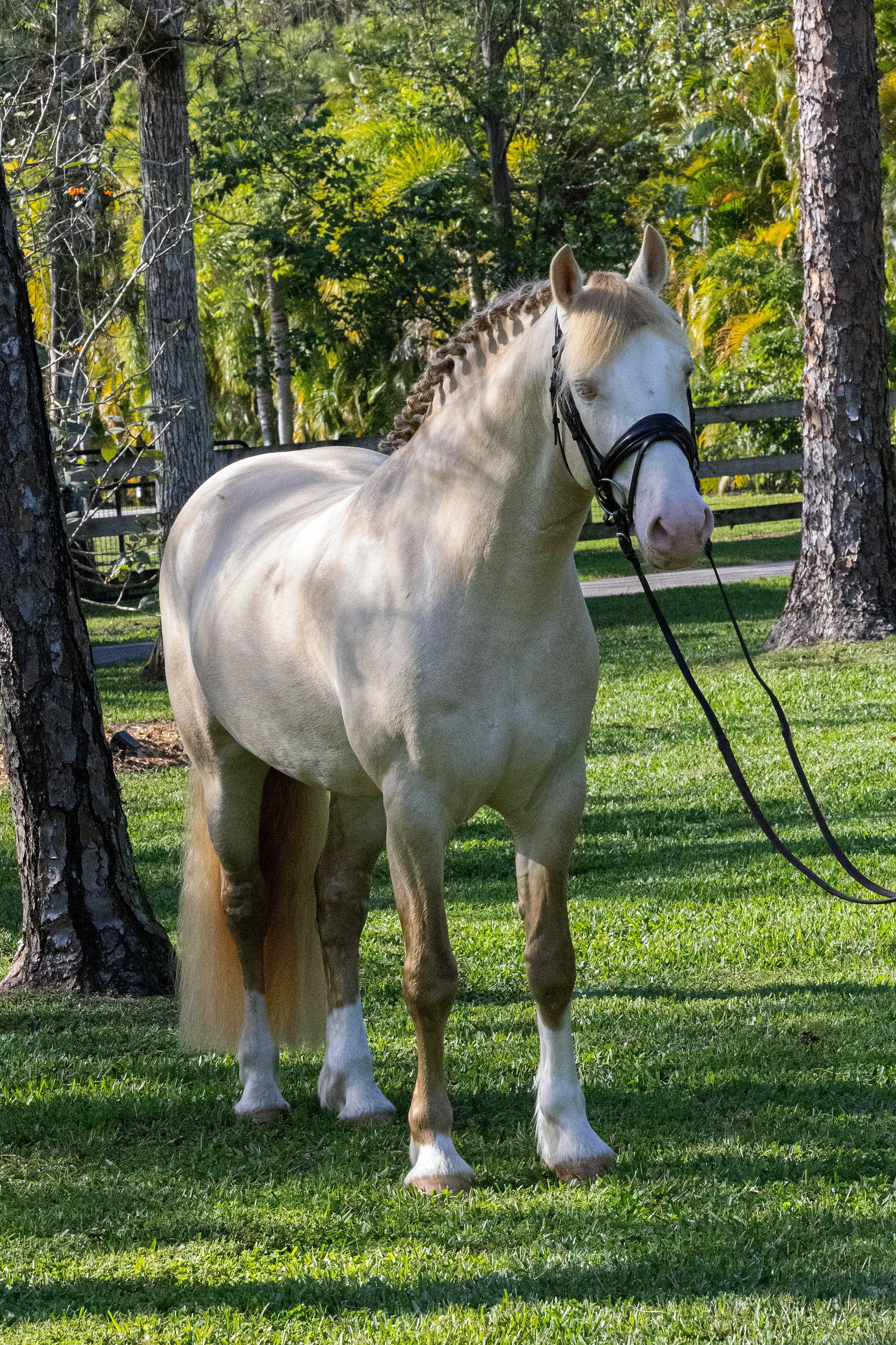 QuillaneAccolade-January2025-004 Quinnten Alston.jpg