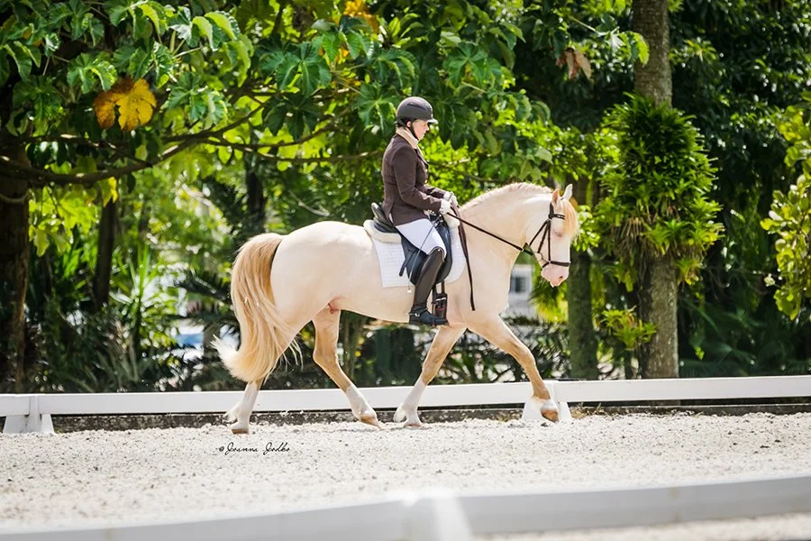 WFSFIII&IV090923-3147 Web Personal.jpg