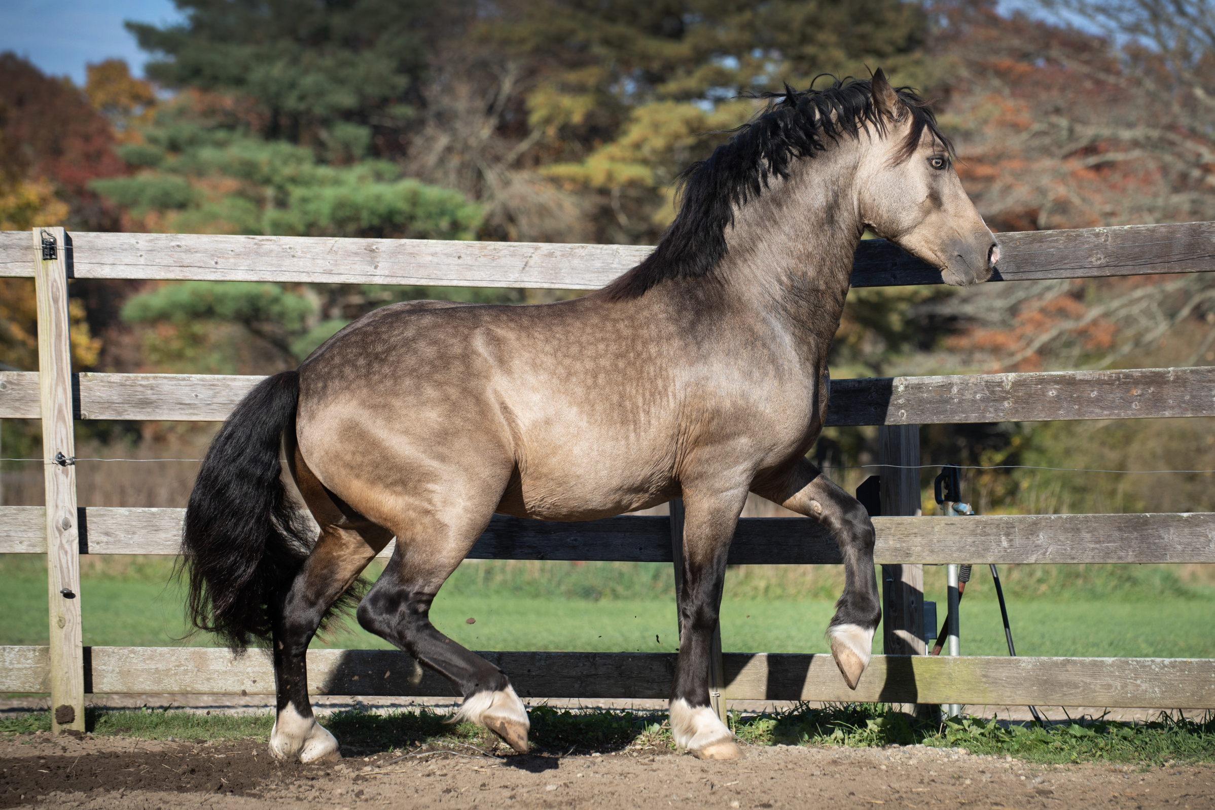 Screen Shot 2023-10-27 at 6.08.19 PM.png