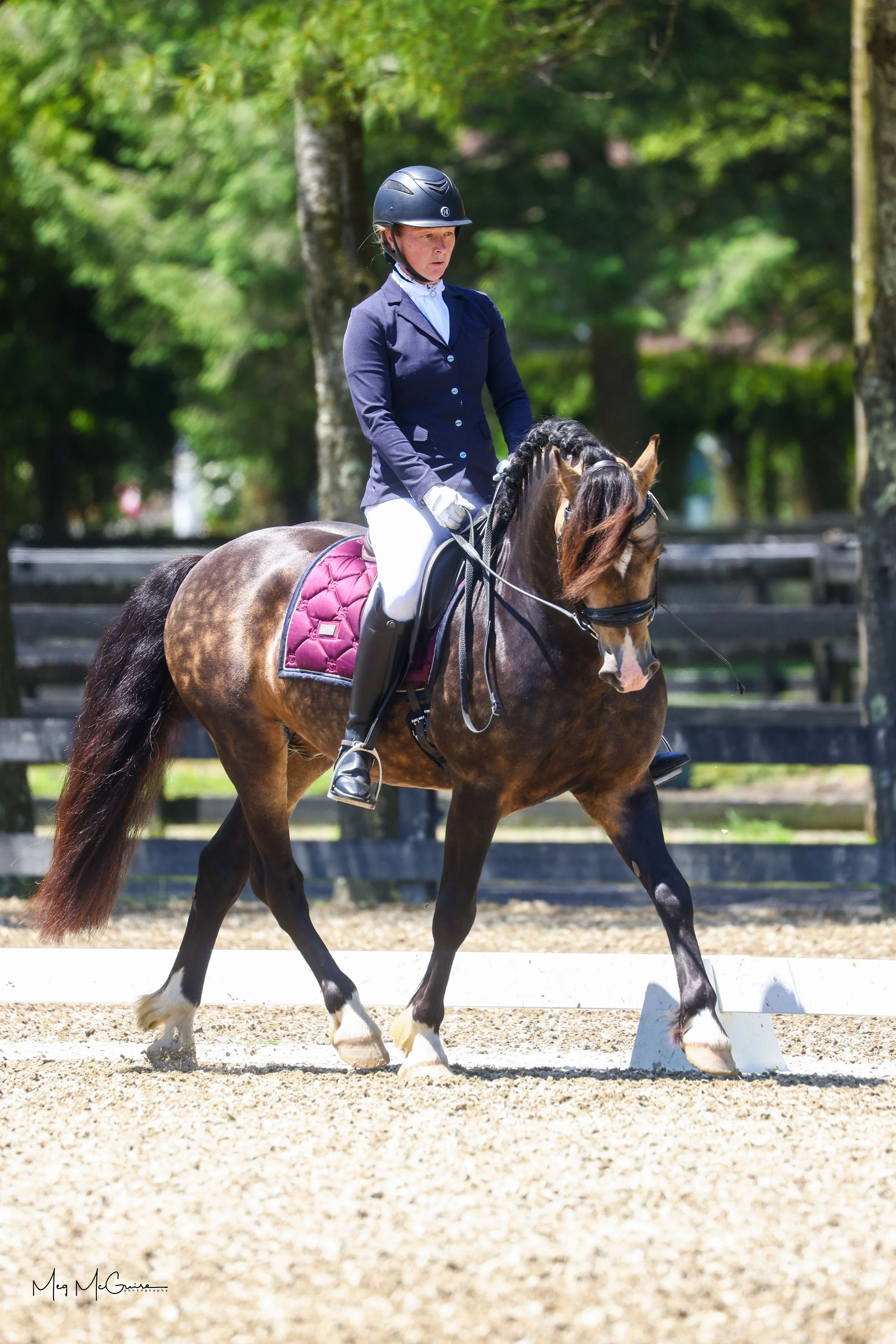 MDQ_5217©meg-mcguire.com.JPG