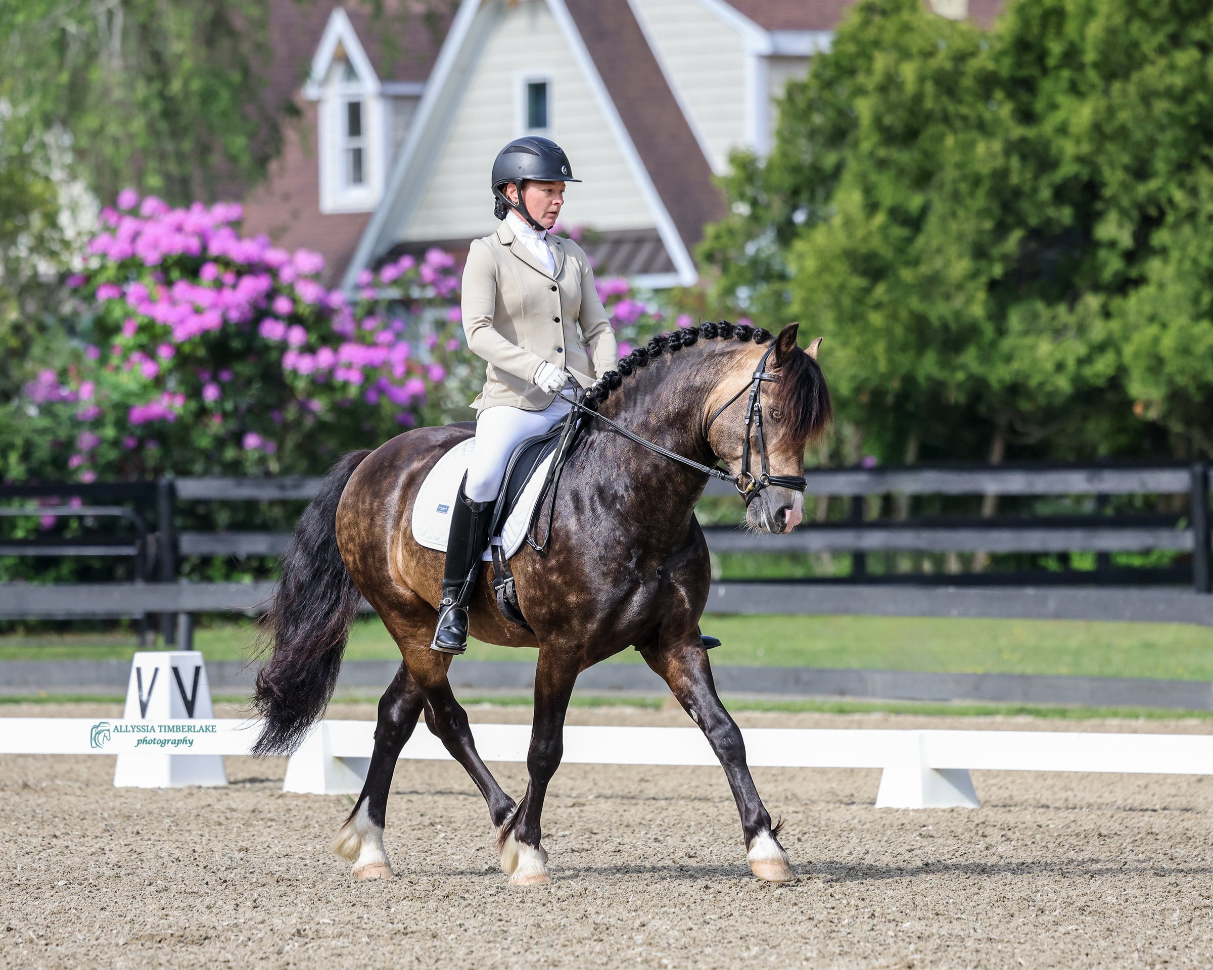 5NDA0499.copyrightAllyssiaTimberlakePhotography.PersonalUseLicenseFINAL.jpg