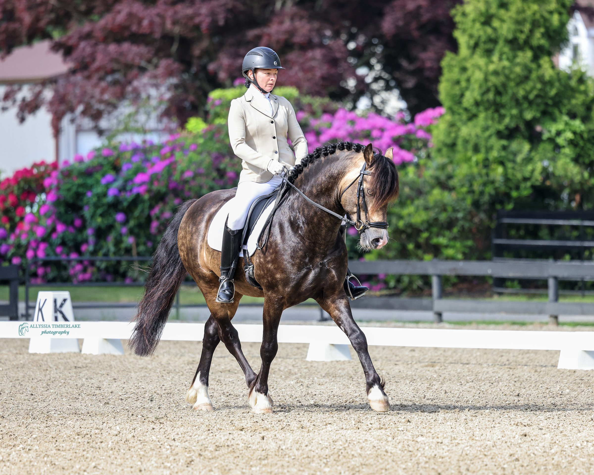 5NDA0497.copyrightAllyssiaTimberlakePhotography.PersonalUseLicenseFINAL.jpg