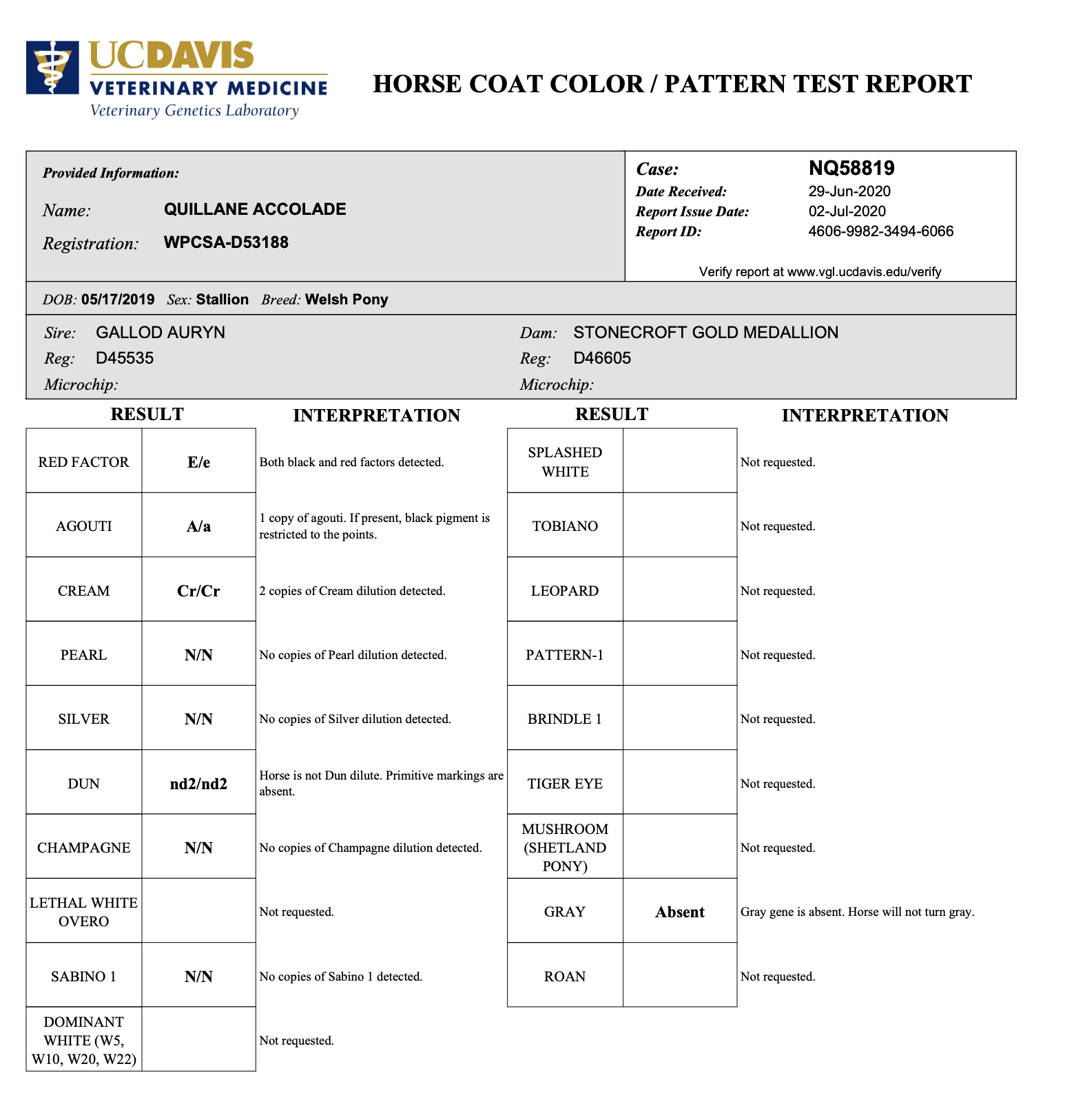 Screen Shot 2023-03-01 at 9.56.56 AM.png