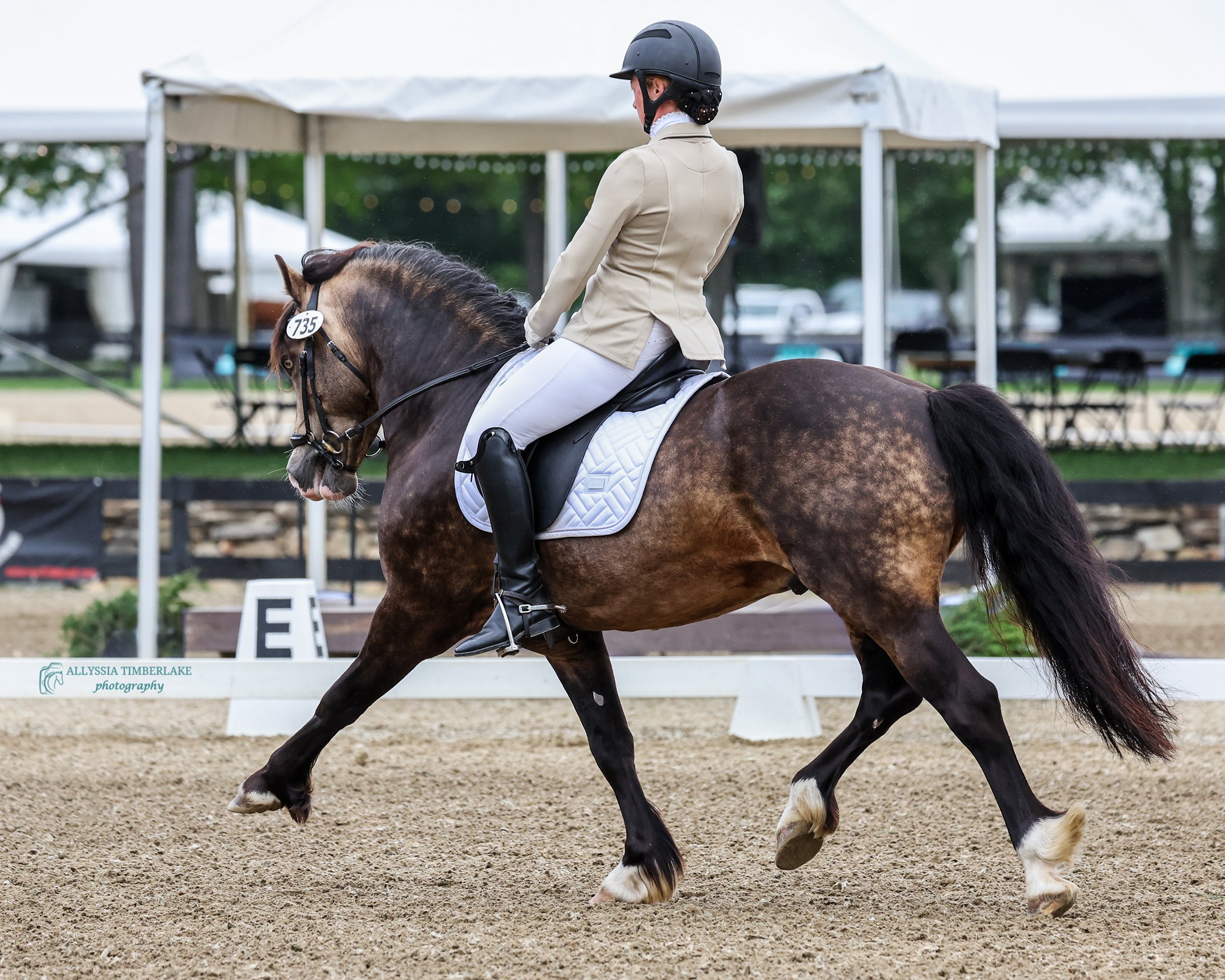 5NDS4729.copyrightAllyssiaTimberlakePhotography.PersonalUseLicenseFINAL.jpg