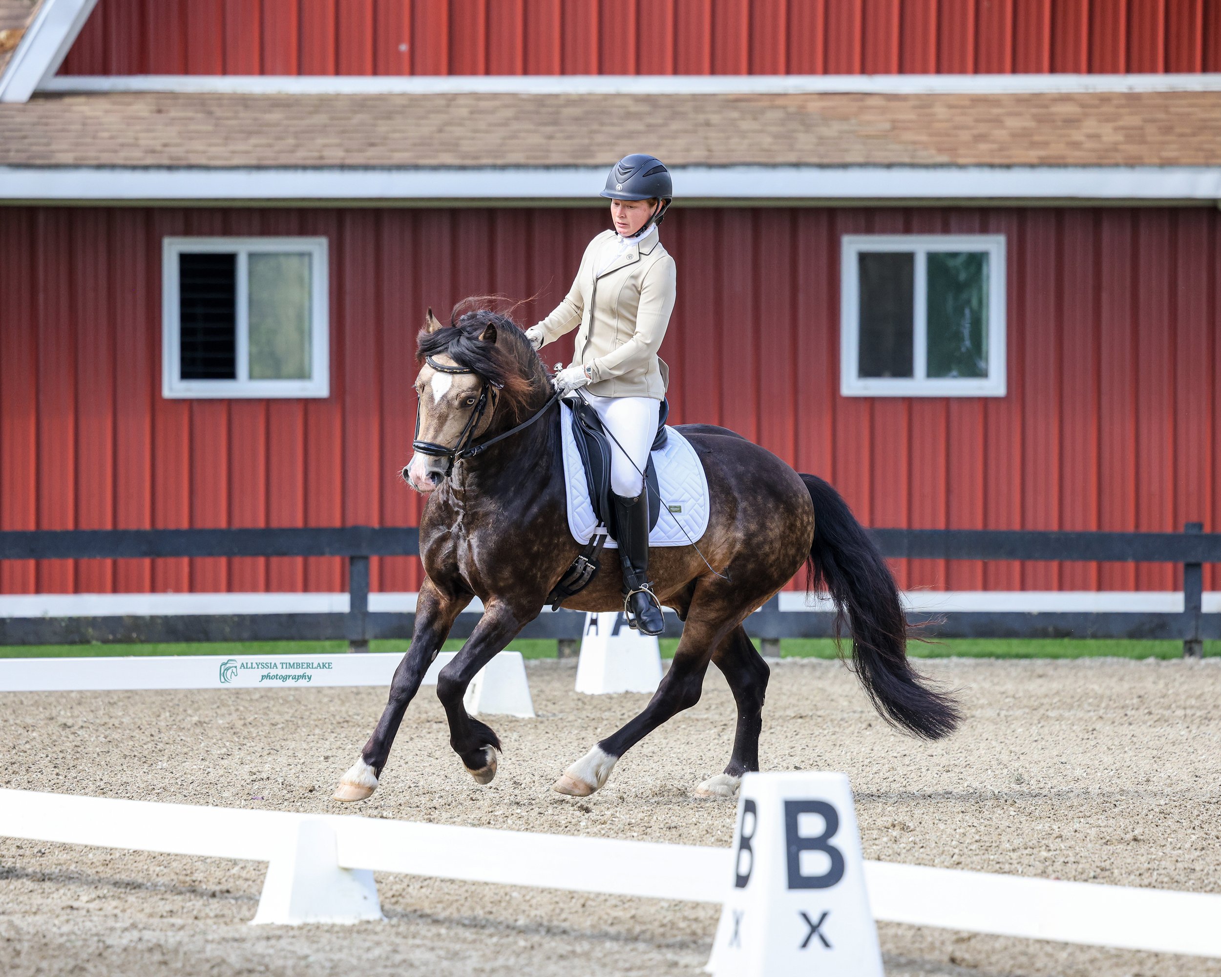 5NDA0554.copyrightAllyssiaTimberlakePhotography.PersonalUseLicenseFINAL.jpg