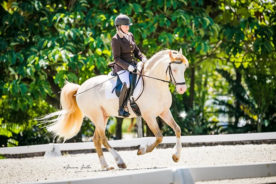 WFSFIII&IV091023-3596 Web Personal (1).jpg